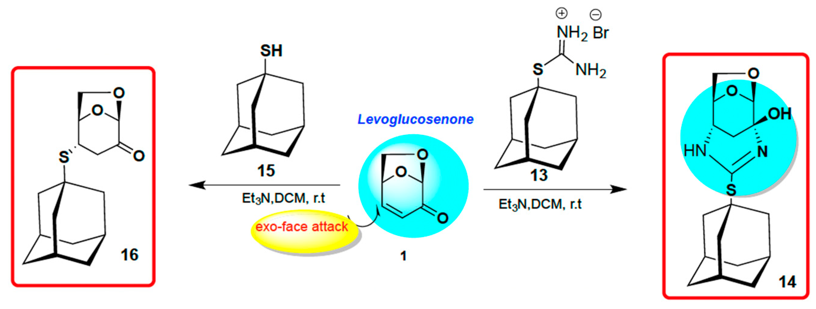 Molecules 31 00164 sch004