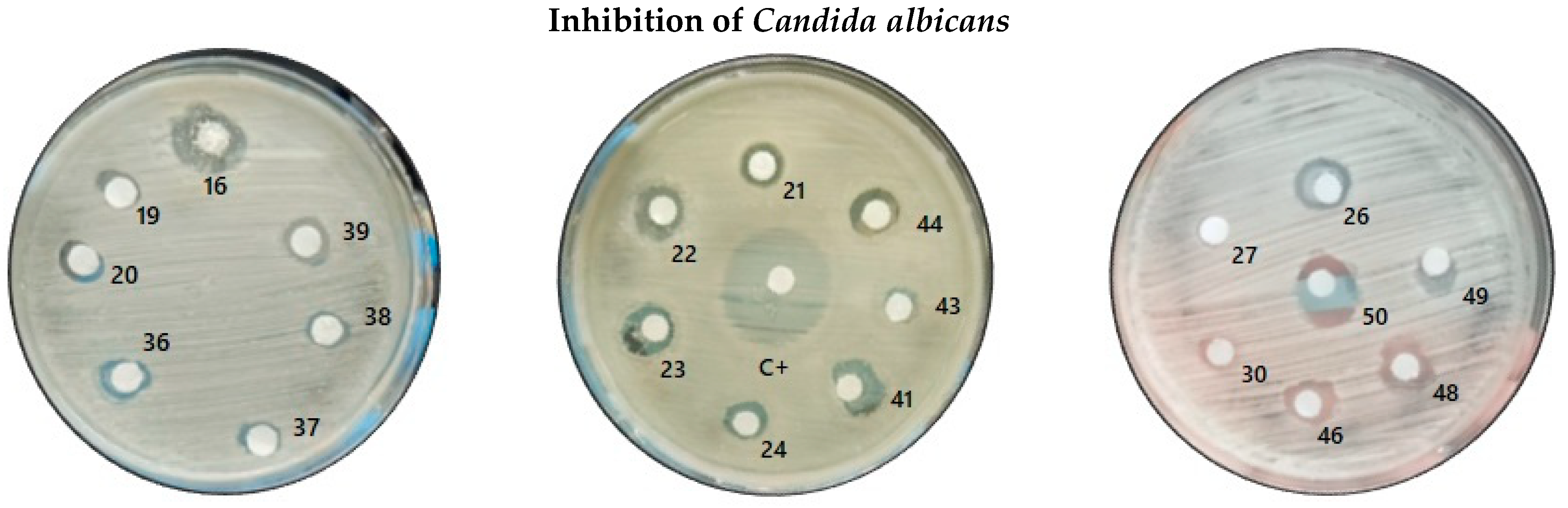 Molecules 31 00170 g004a Molecules 31 00170 g004a