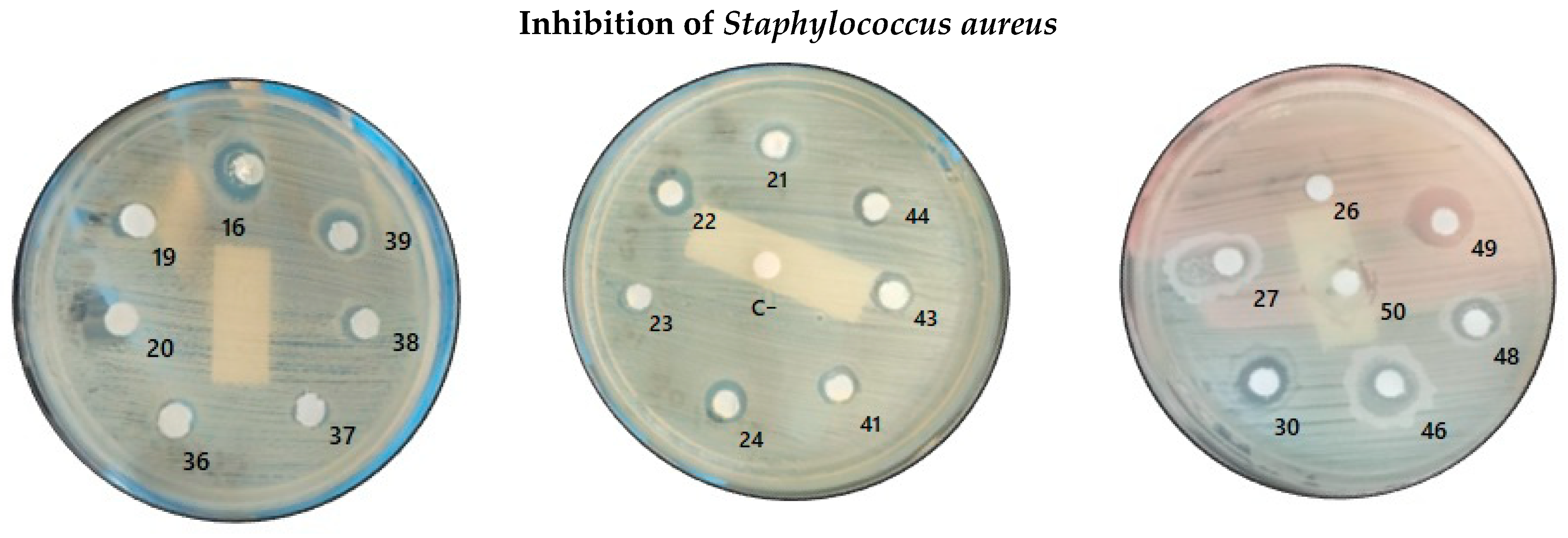 Molecules 31 00170 g004b Molecules 31 00170 g004b