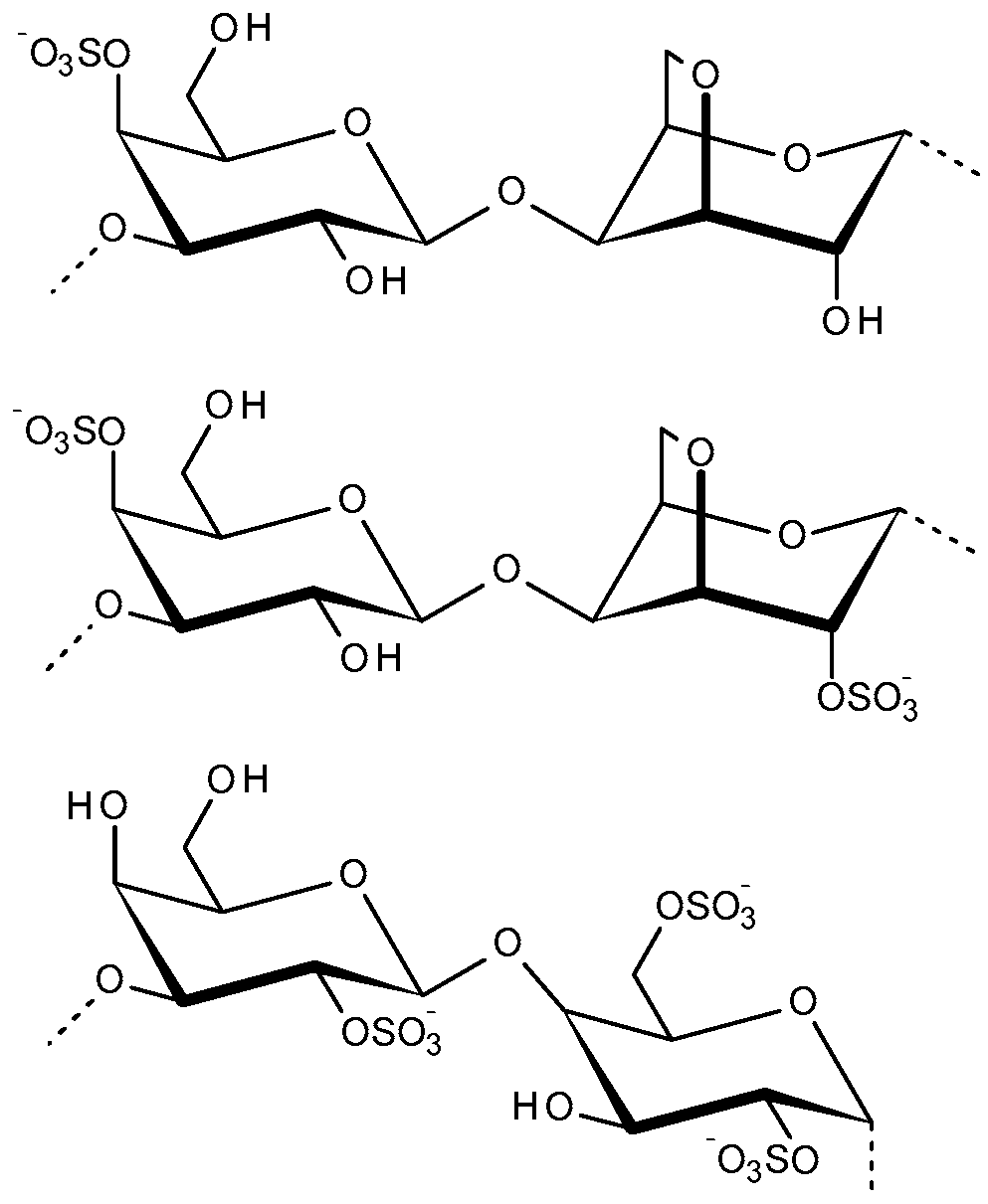 Molecules 31 00175 g002 Molecules 31 00175 g002