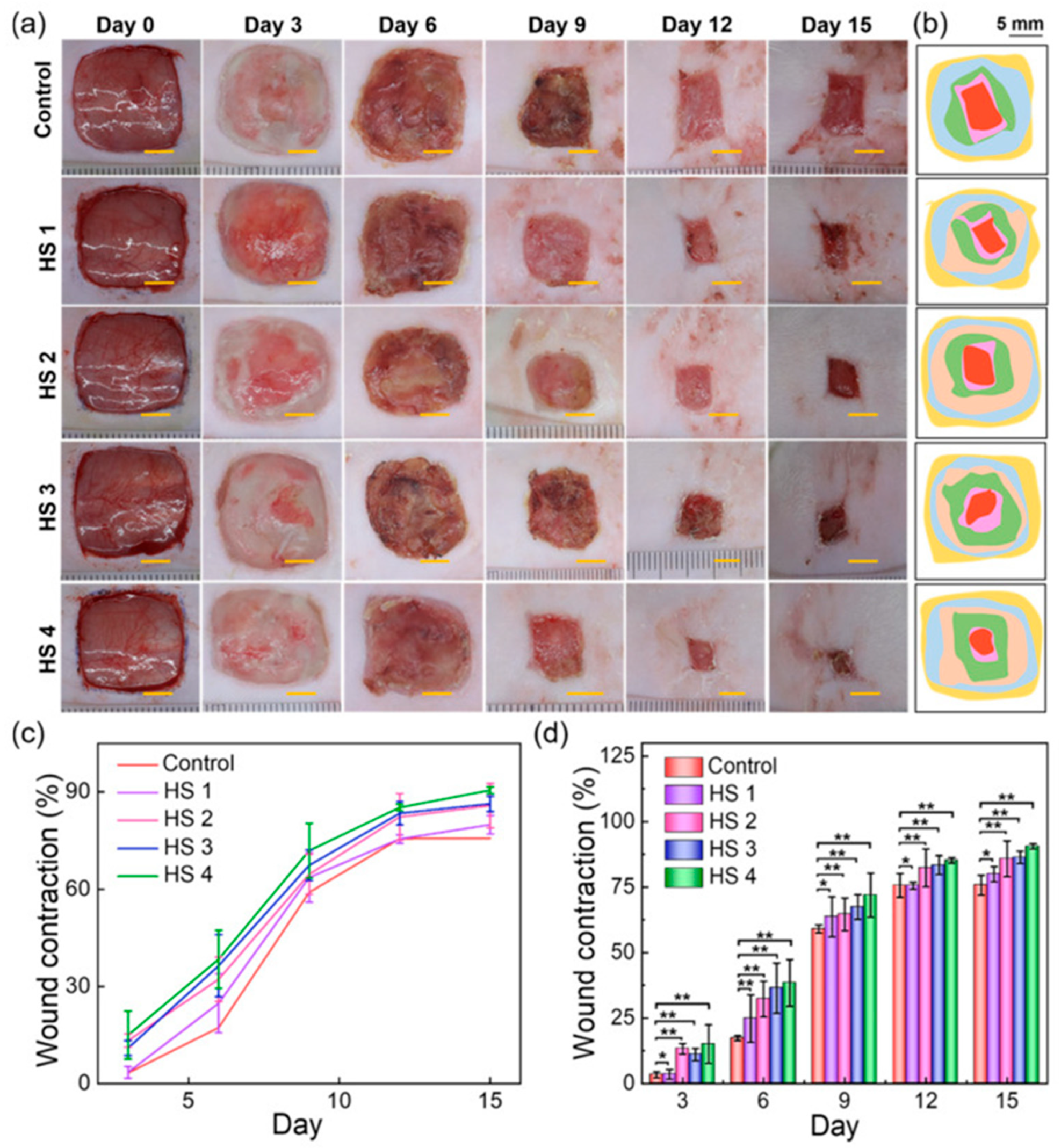 Molecules 31 00175 g005 Molecules 31 00175 g005