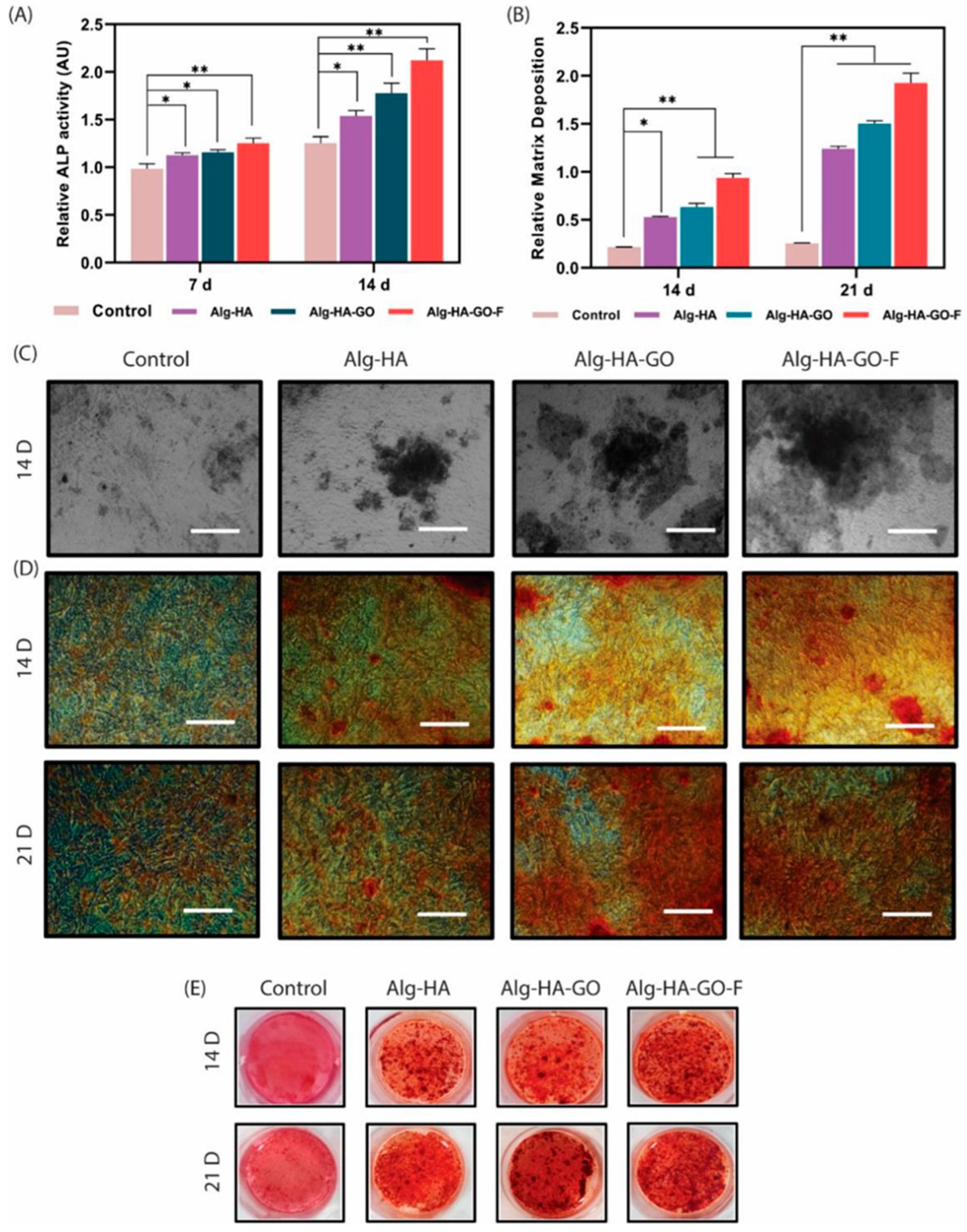 Molecules 31 00175 g006 Molecules 31 00175 g006