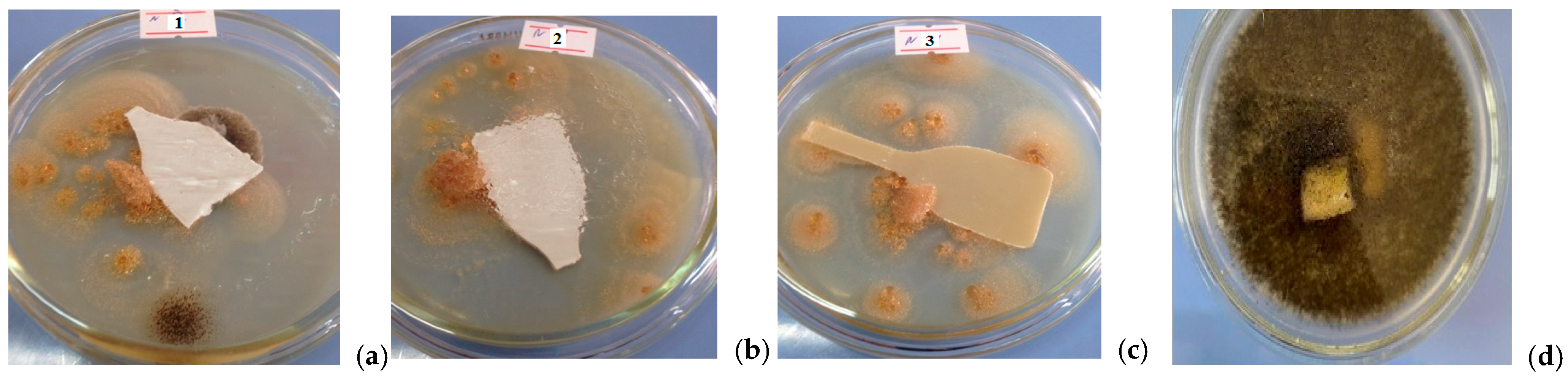 Molecules 31 00190 g003