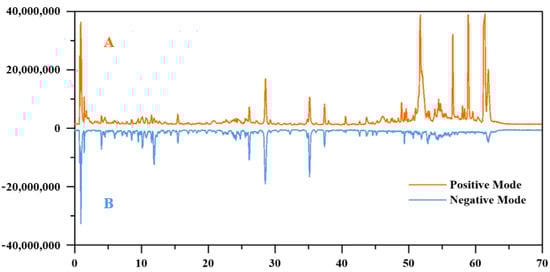 Total ion chromatograms of Herba Hyssopi in both positive (A) and negative (B) ion modes.