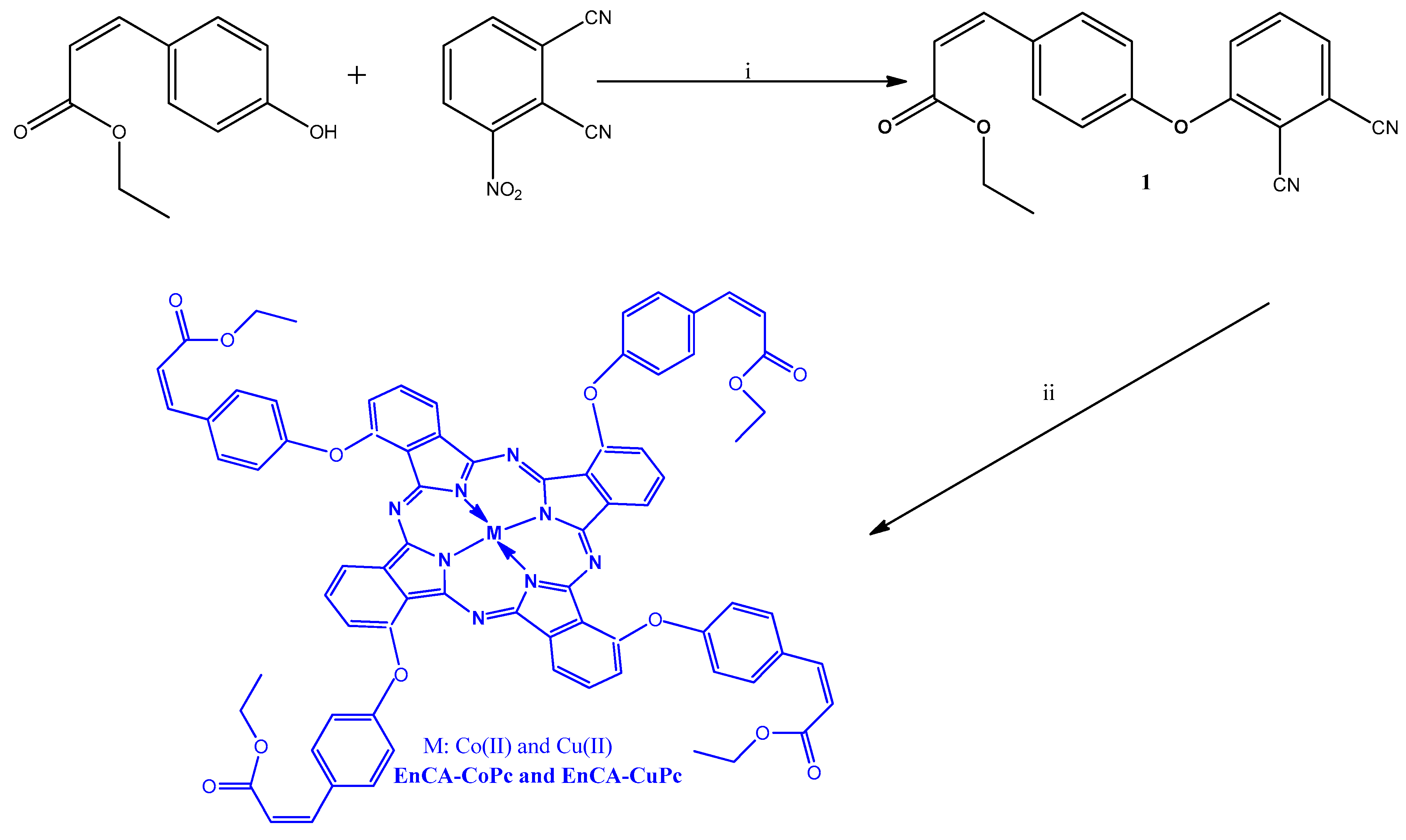 Molecules 31 00213 g001 Molecules 31 00213 g001