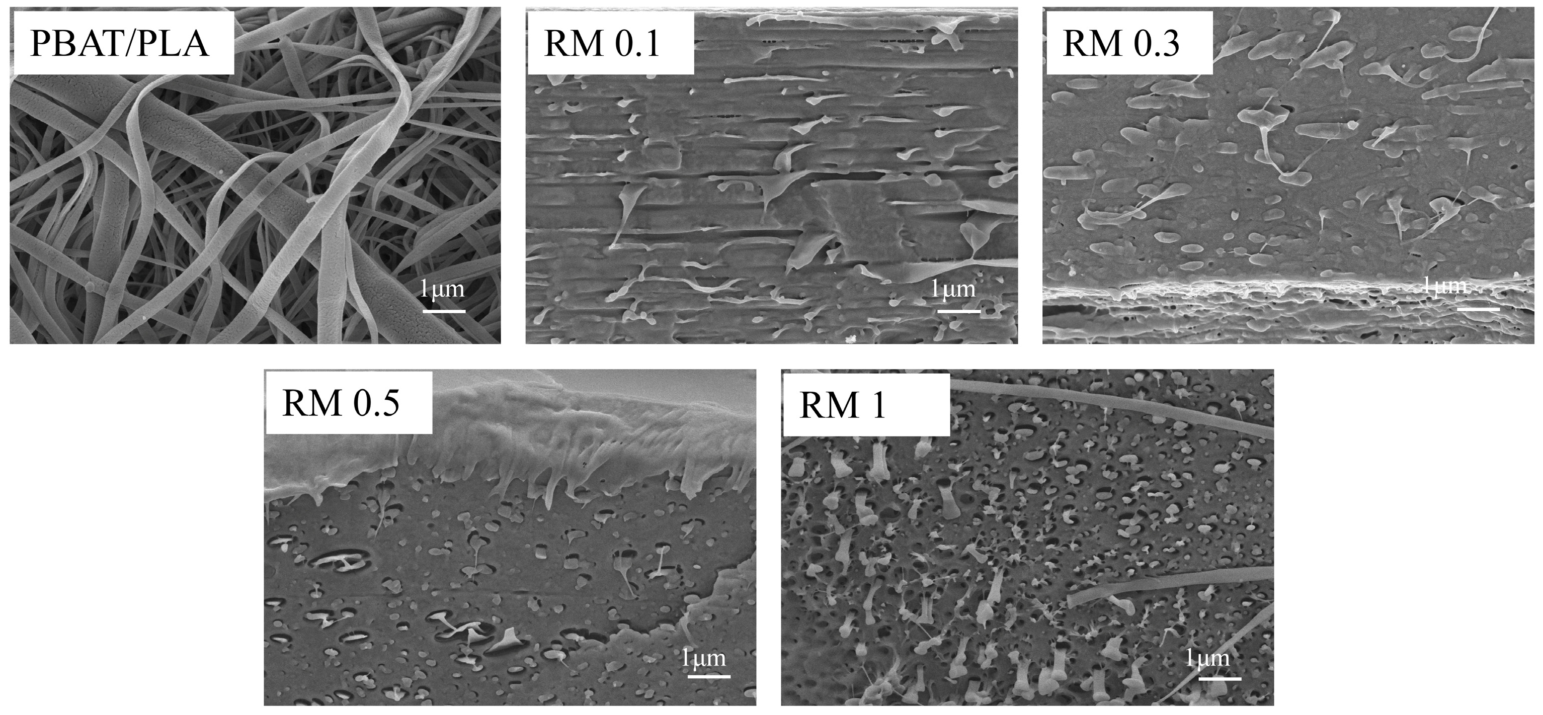 Molecules 31 00217 g006