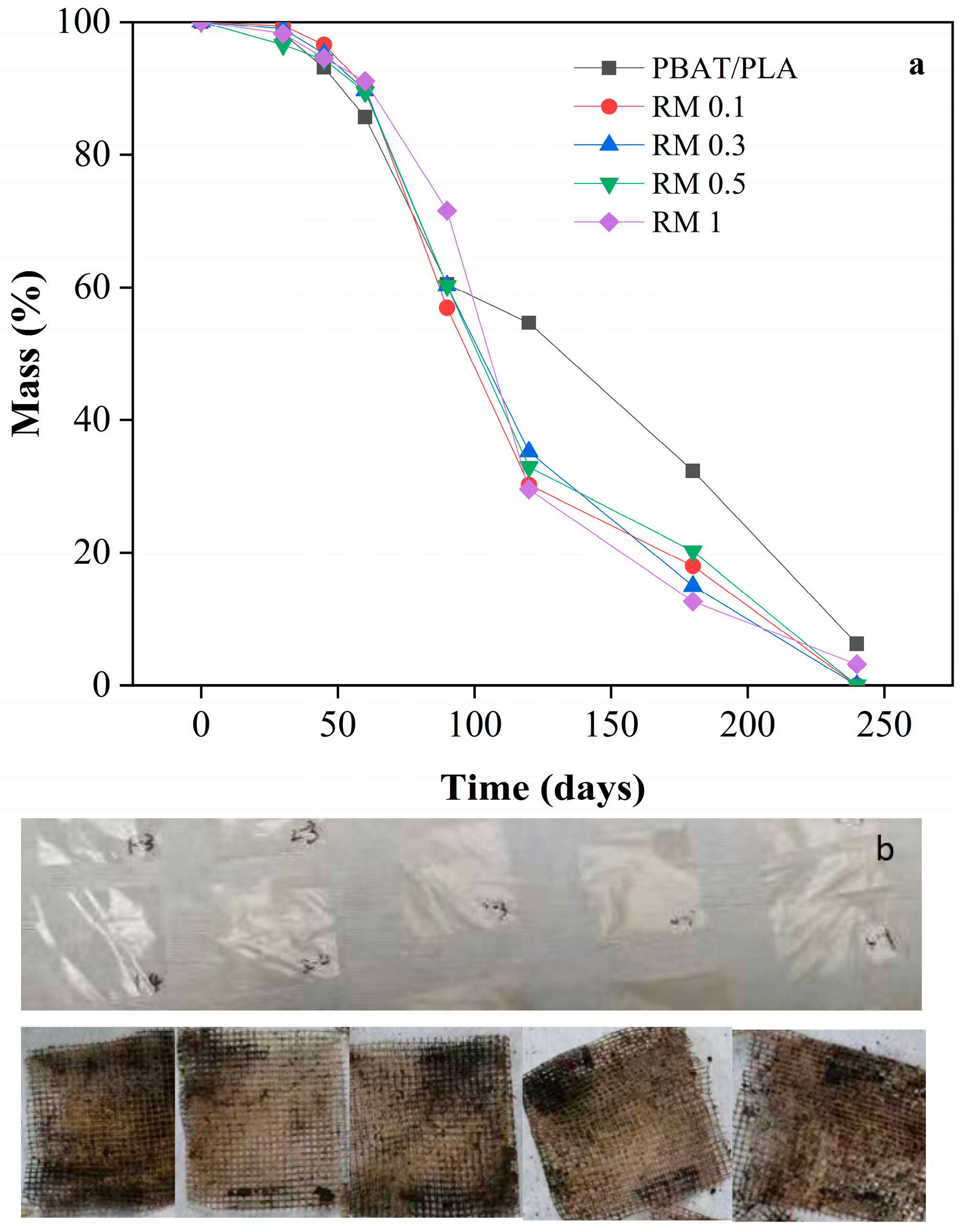 Molecules 31 00217 g010