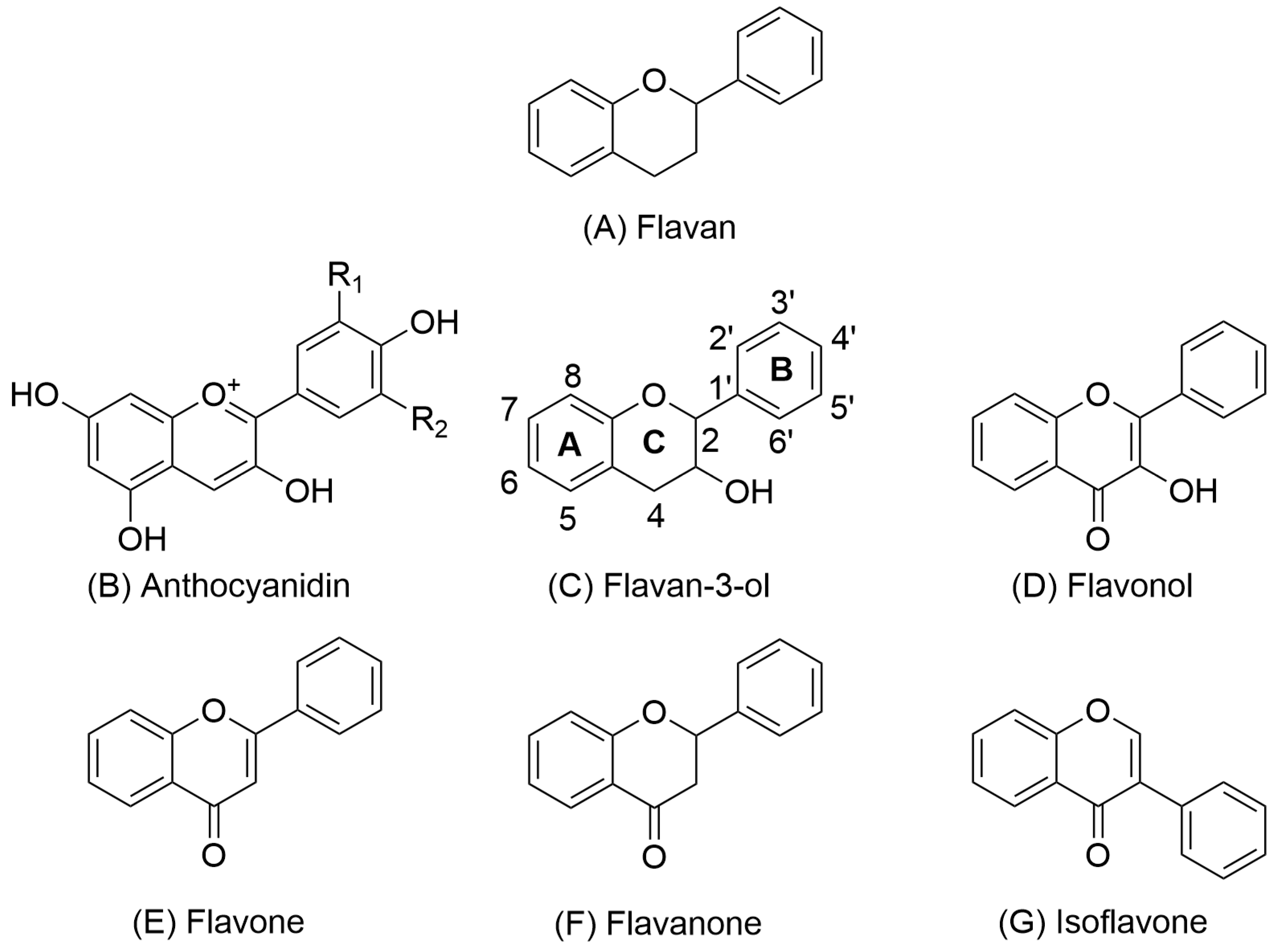 Molecules 31 00223 g001