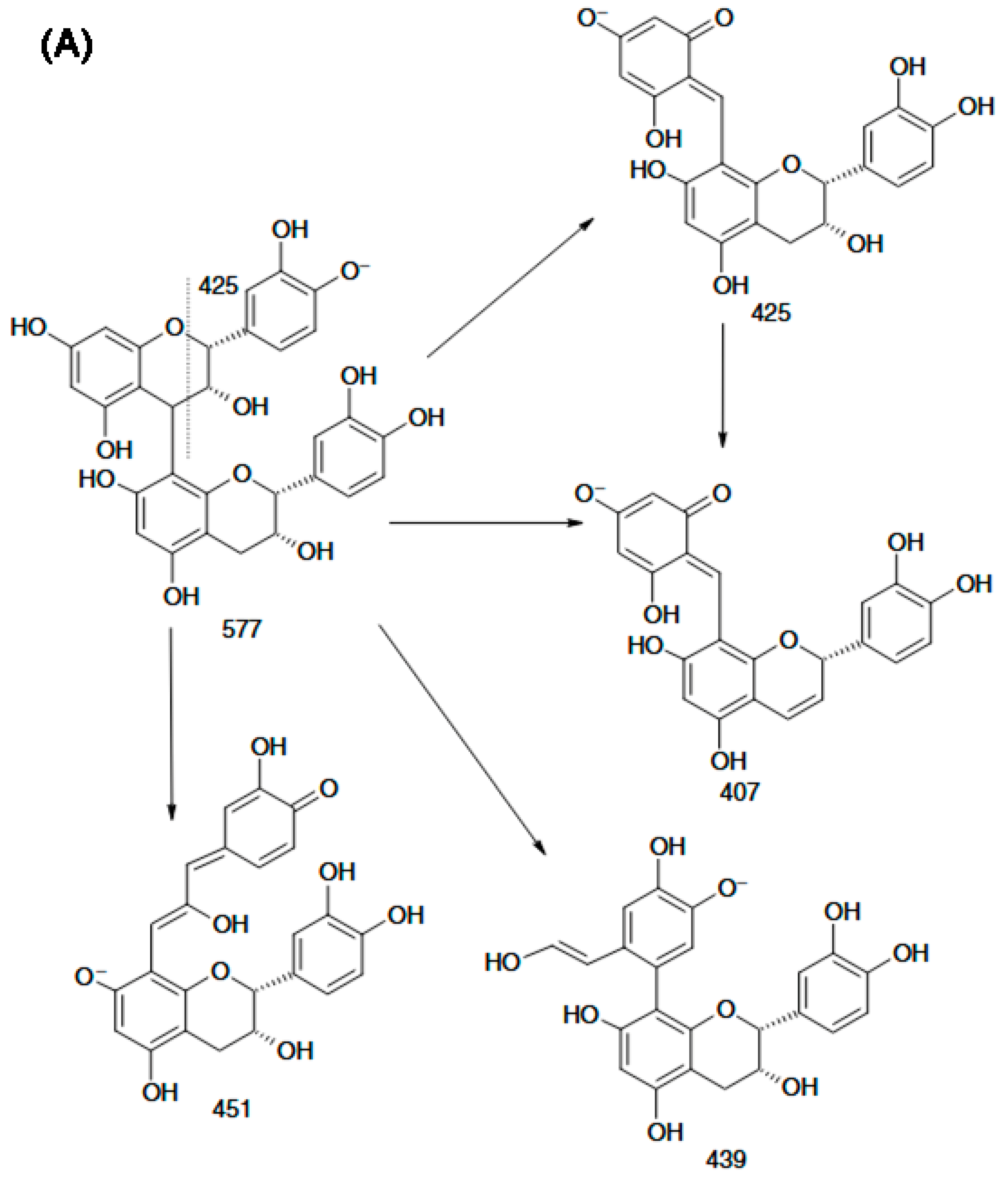 Molecules 31 00223 g004a