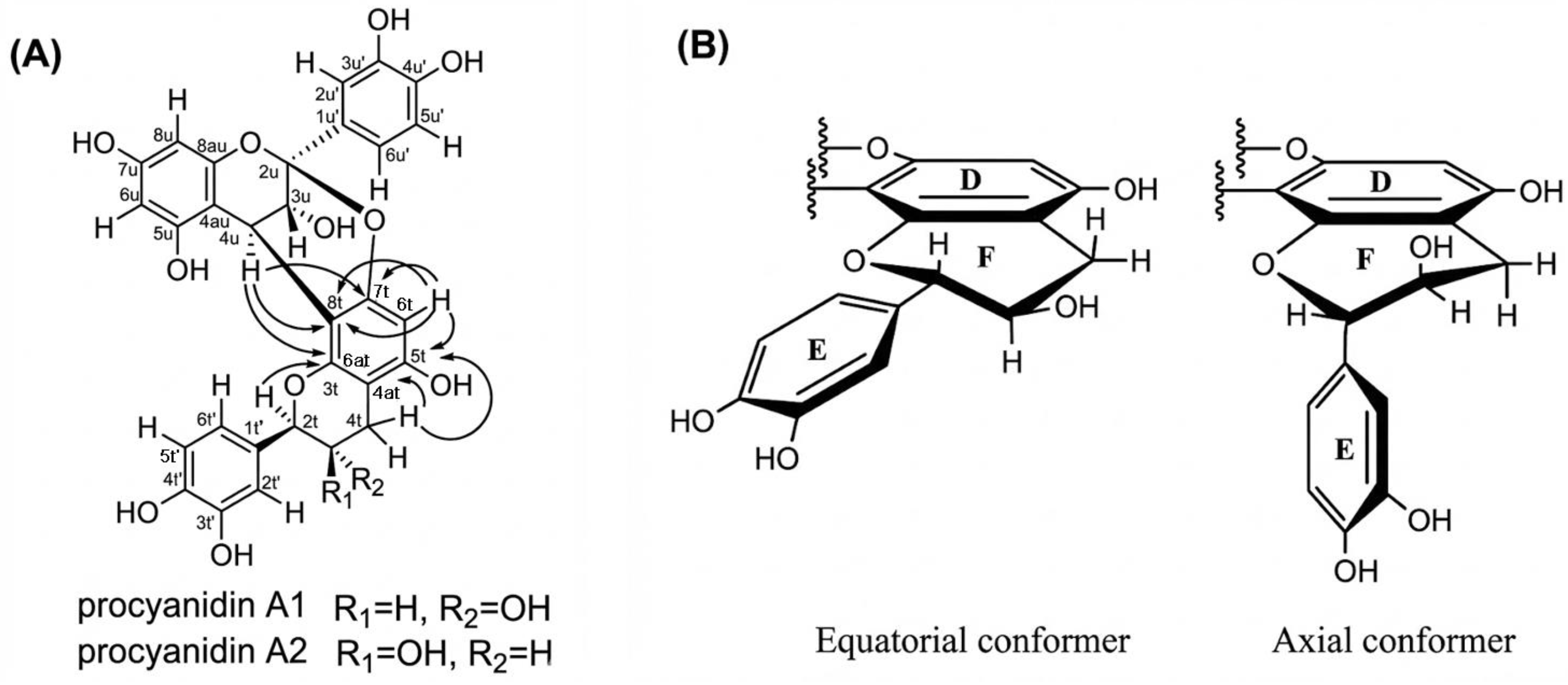 Molecules 31 00223 g006