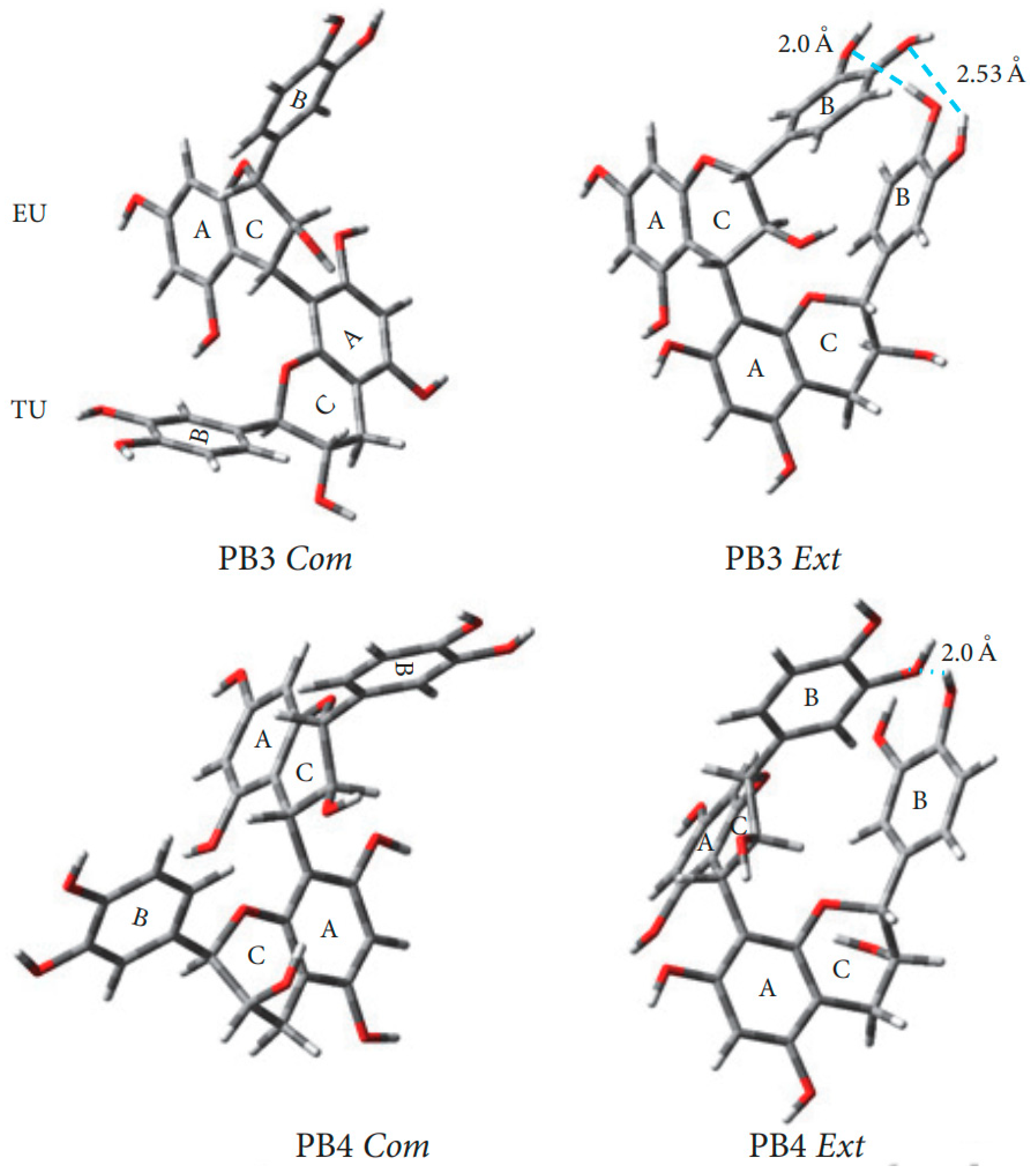 Molecules 31 00223 g007
