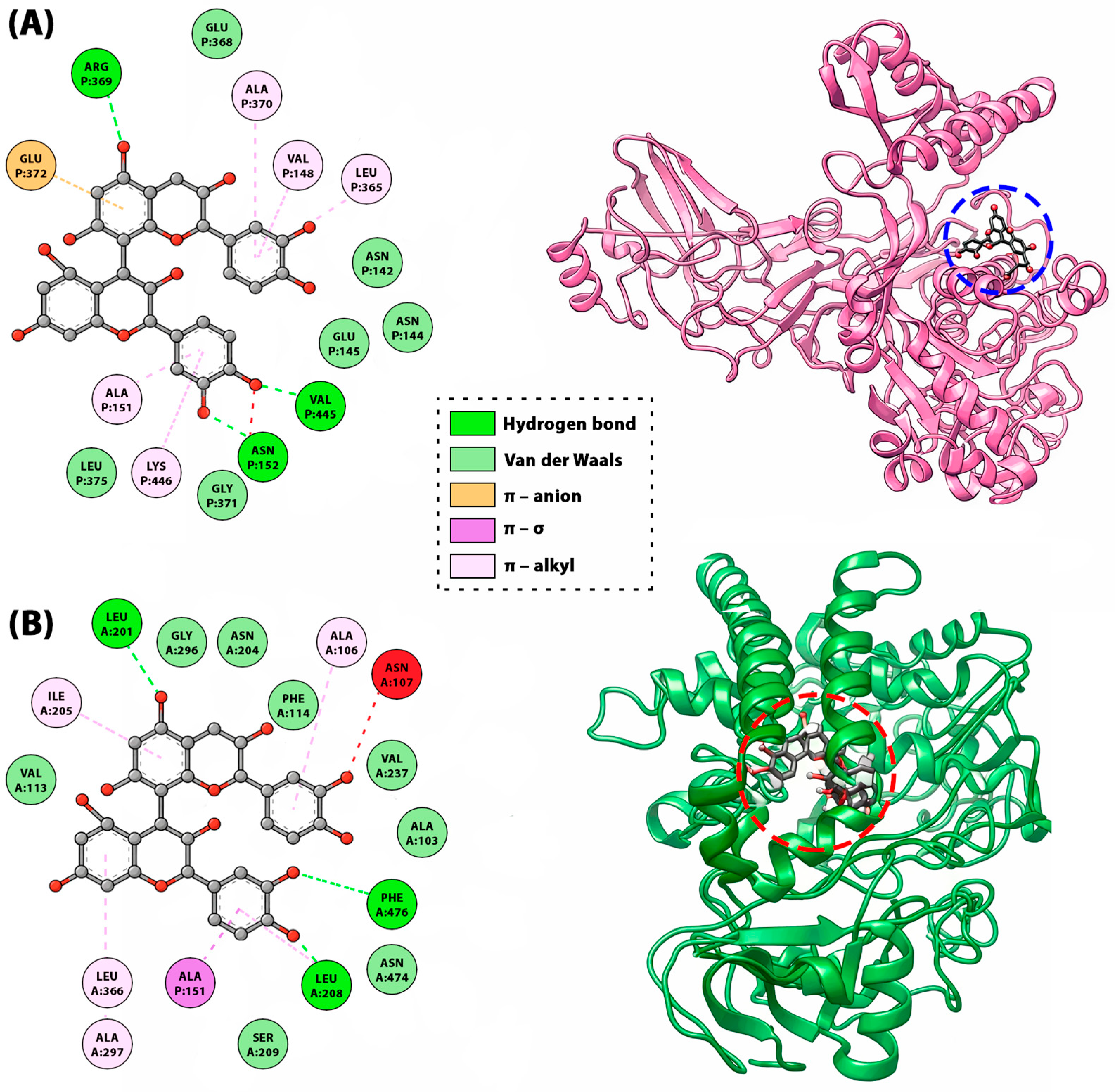 Molecules 31 00223 g009