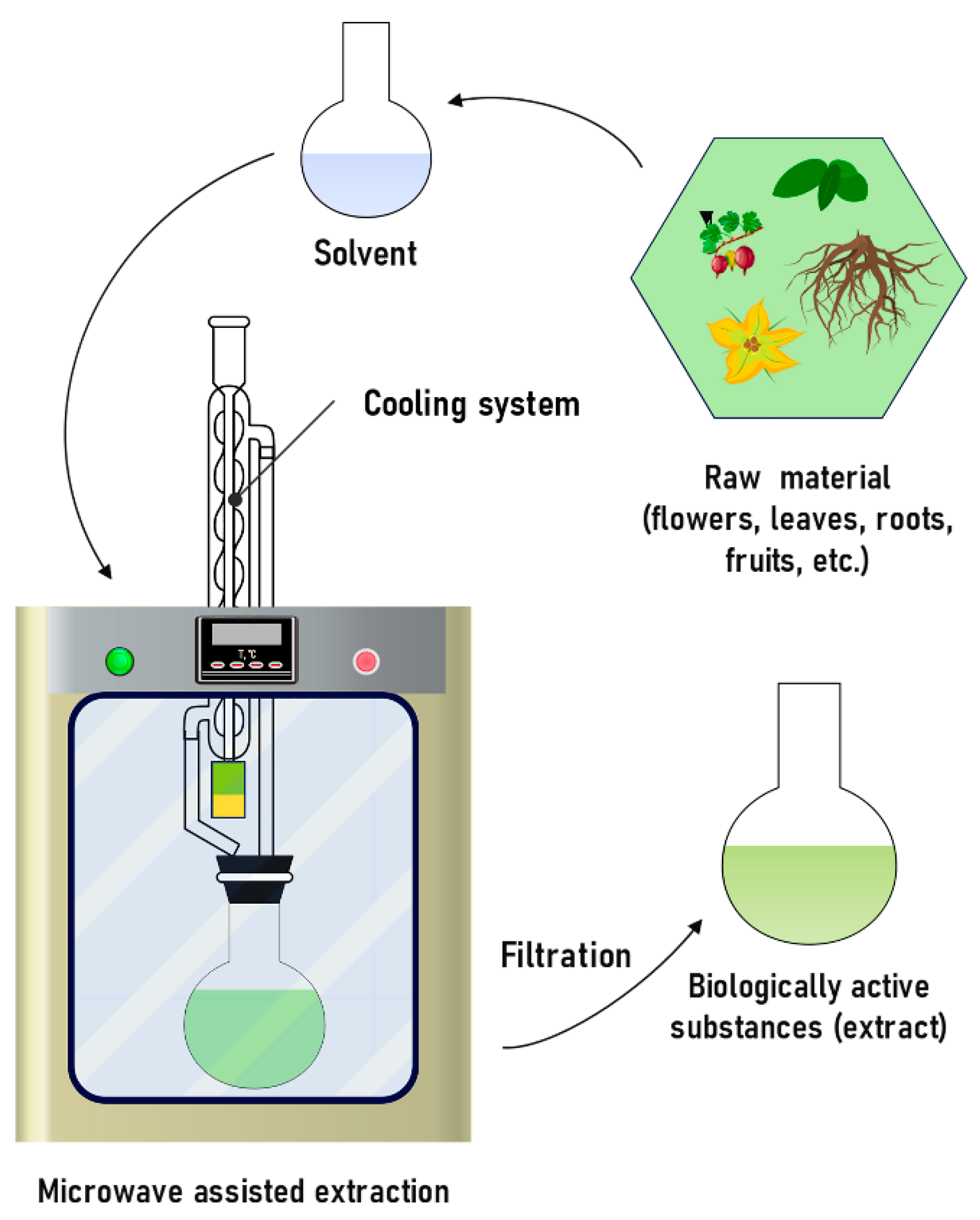Molecules 31 00223 g012