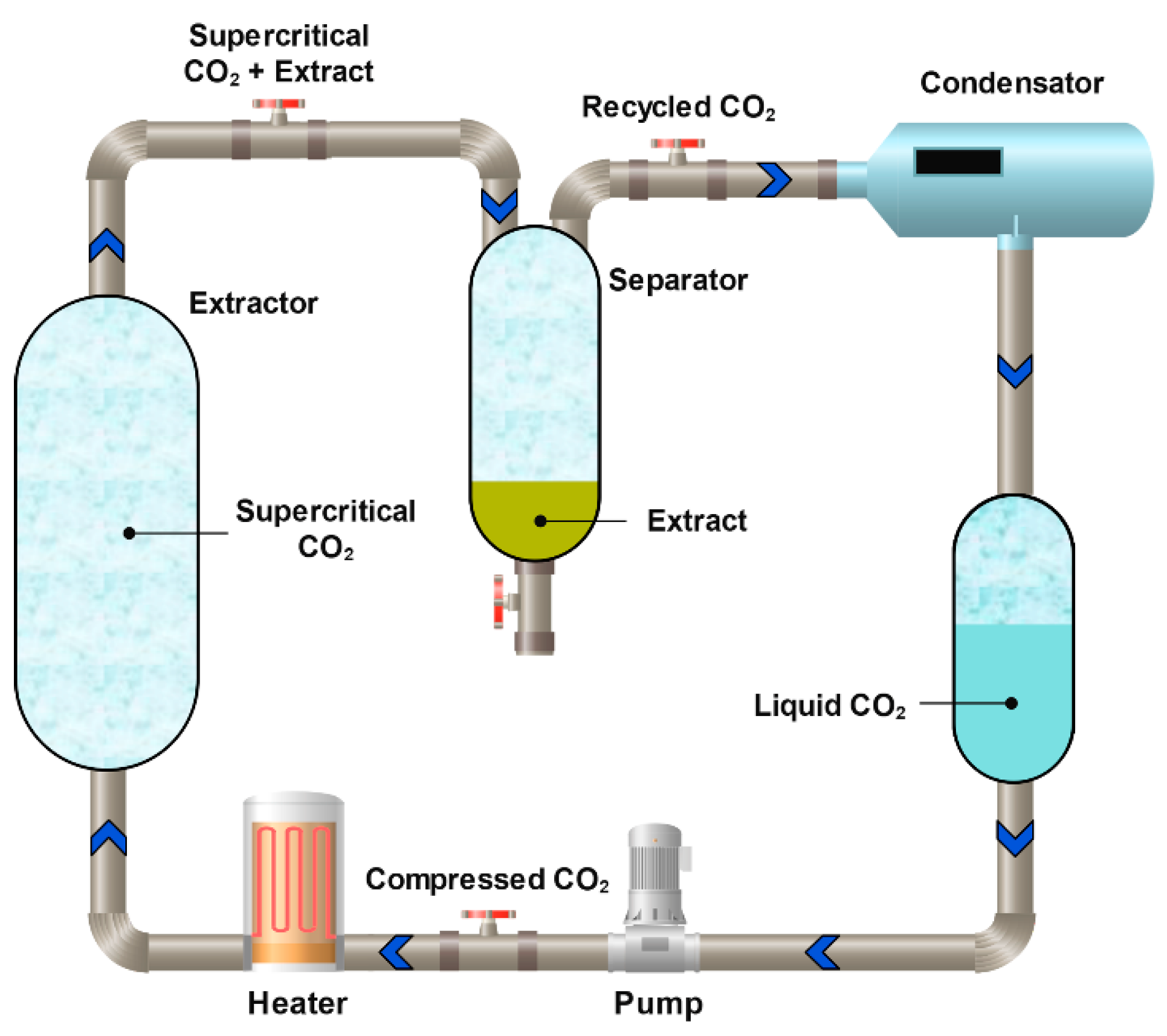 Molecules 31 00223 g013