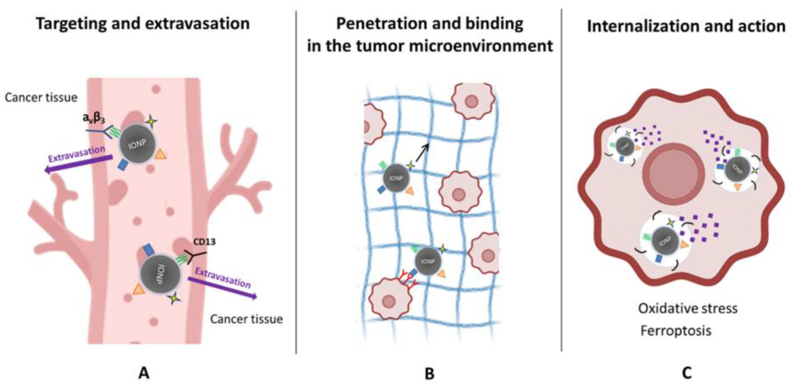 Molecules 31 00236 g003
