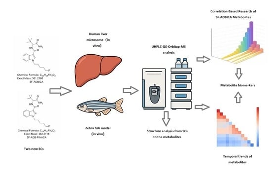 The 21 metabolites and predicted metabolic ways of 5F-ADB-PINACA. (The metabolites highlighted in red were detected in zebrafish).