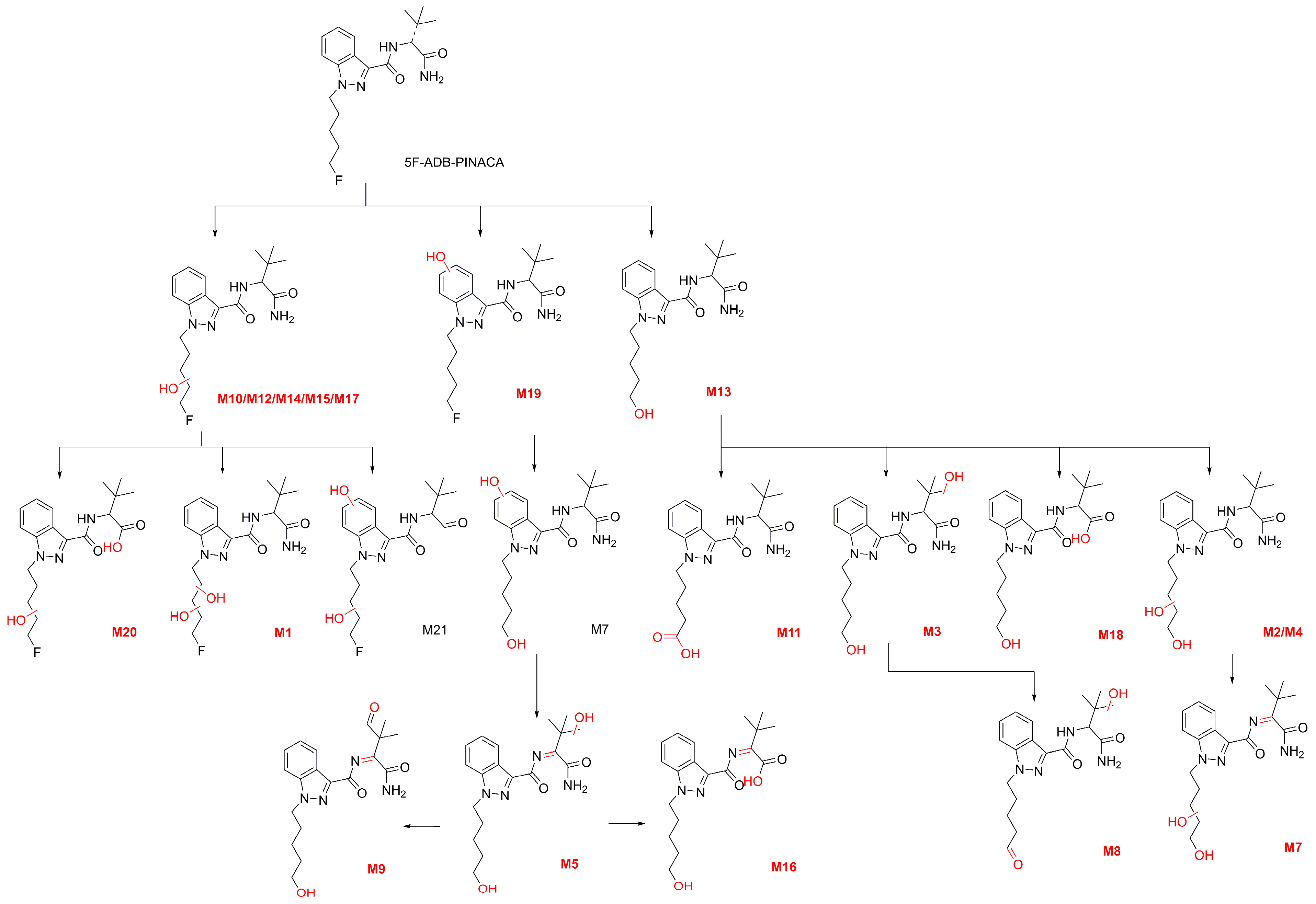 Molecules 31 00250 g001