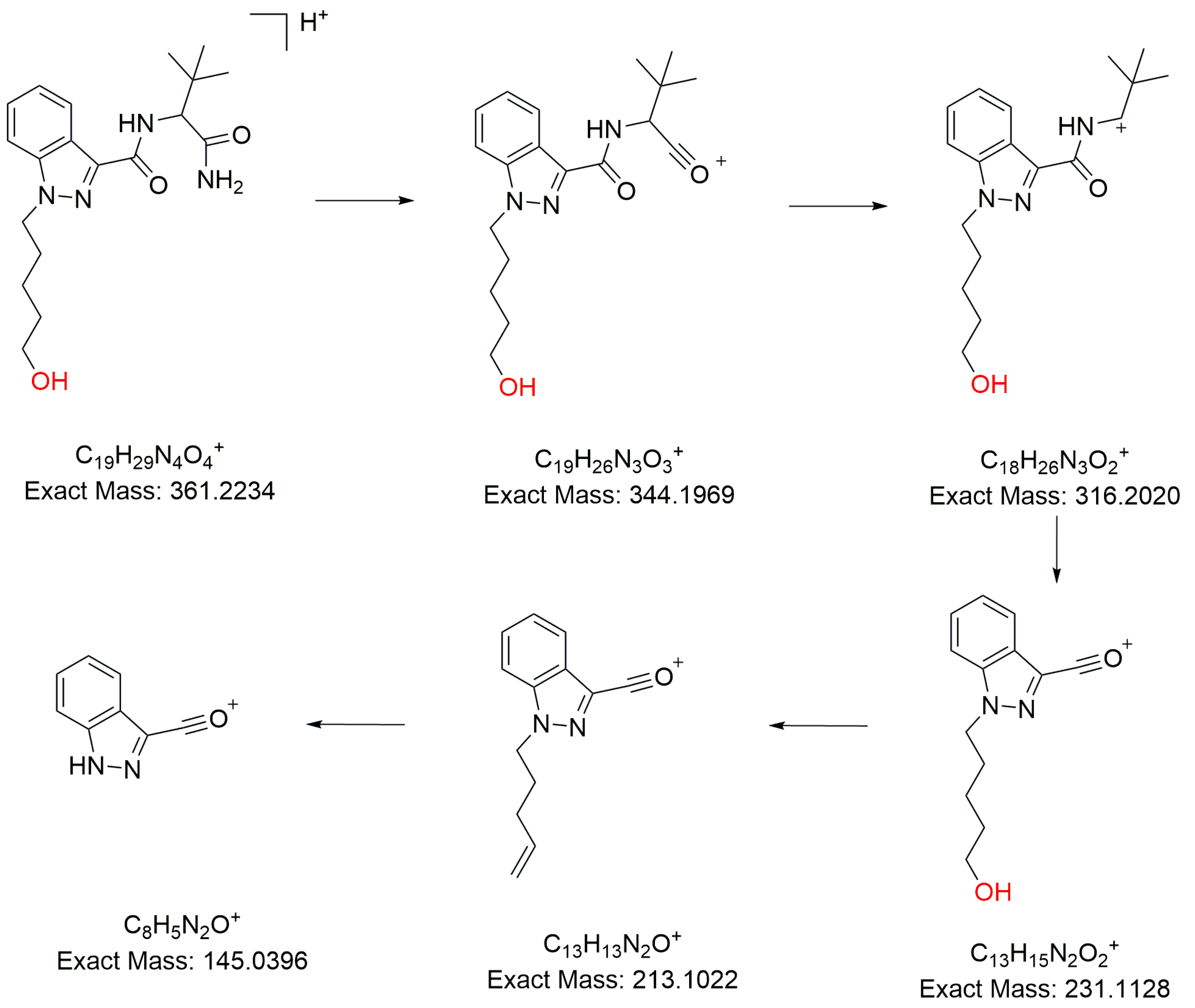 Molecules 31 00250 g002