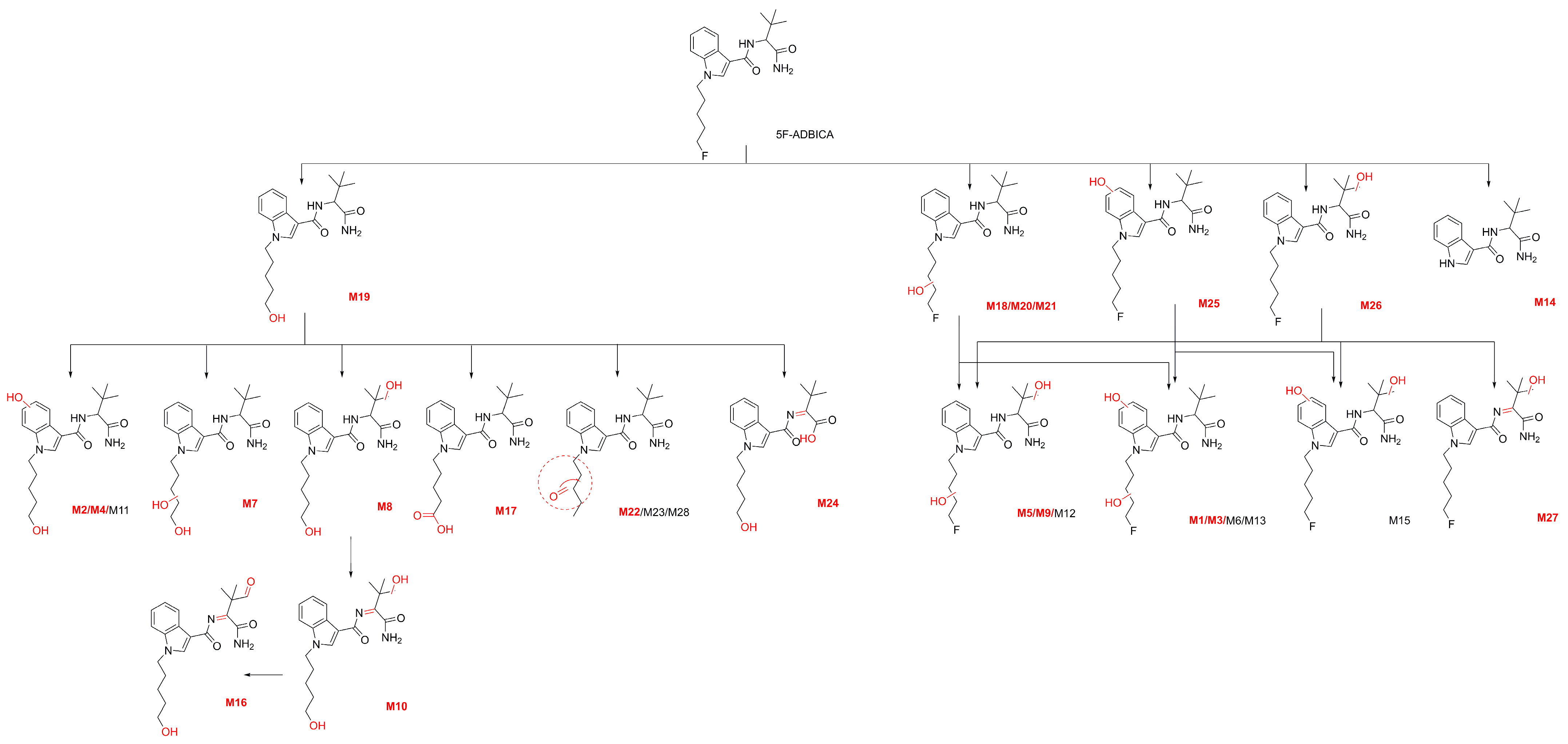 Molecules 31 00250 g005