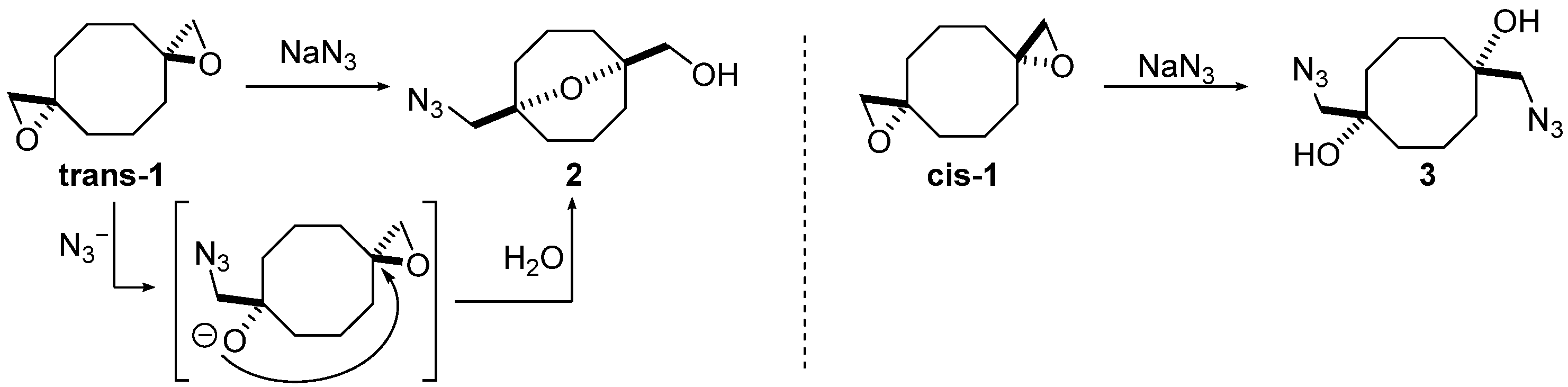 Molecules 31 00252 sch001