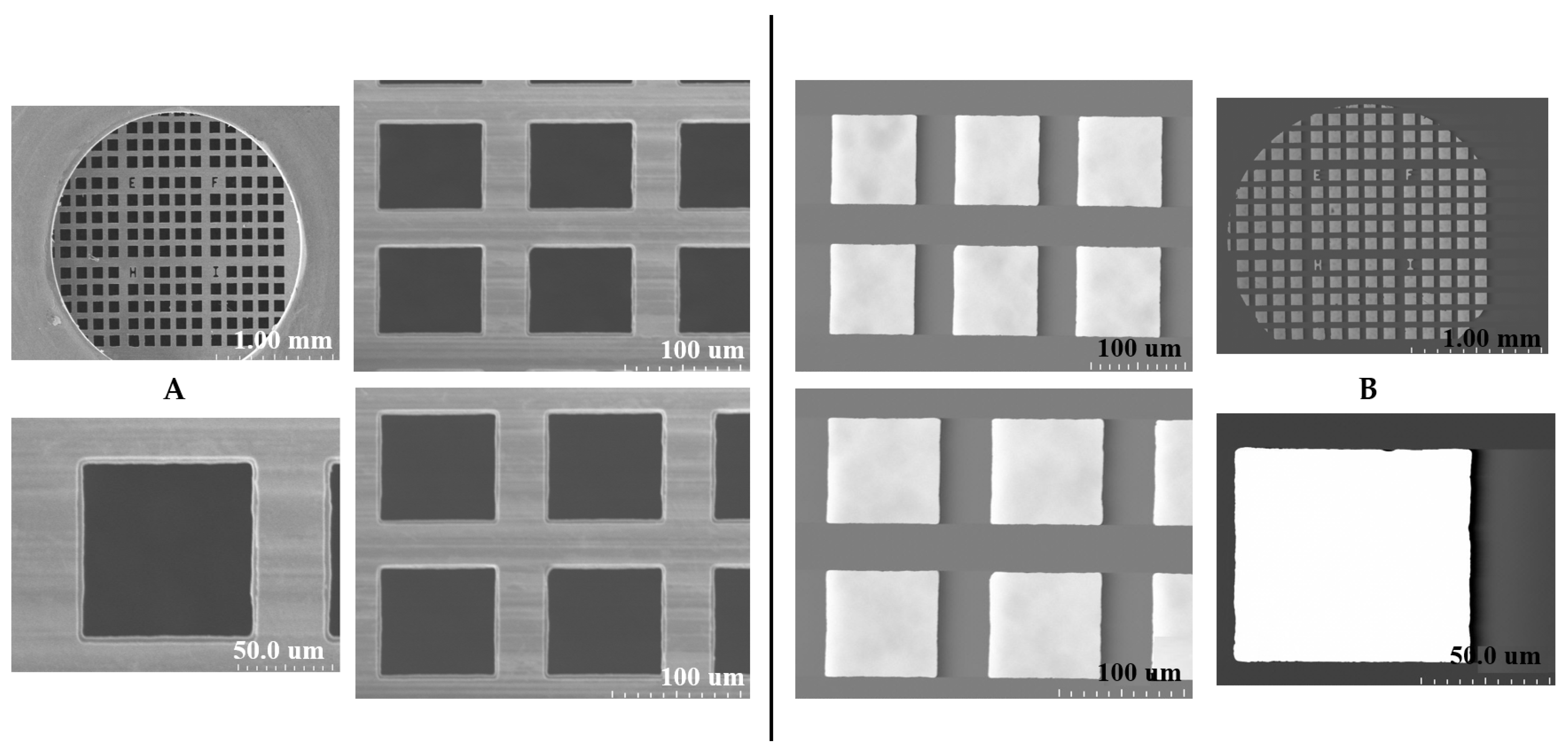 Molecules 31 00253 g001
