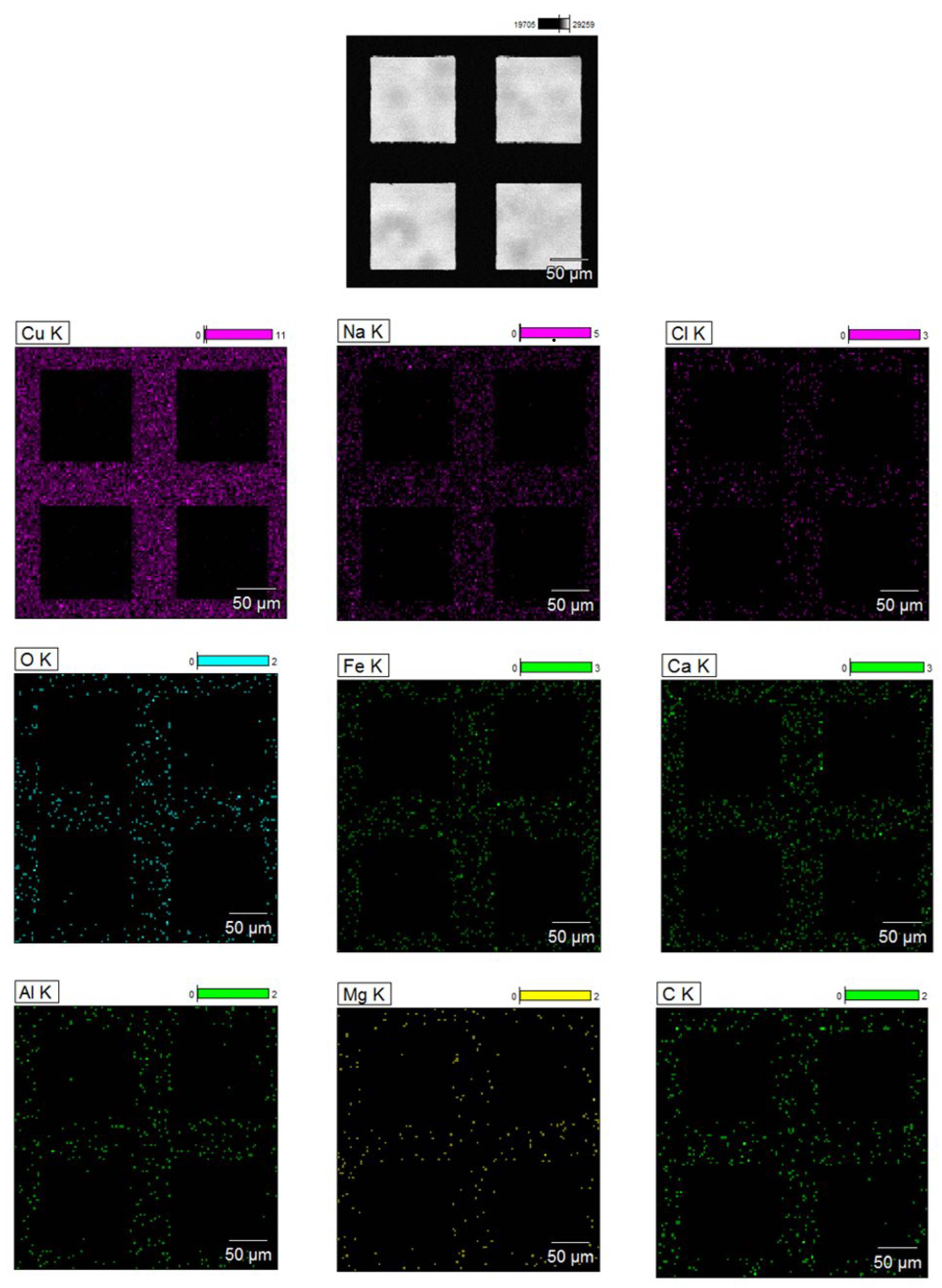 Molecules 31 00253 g004
