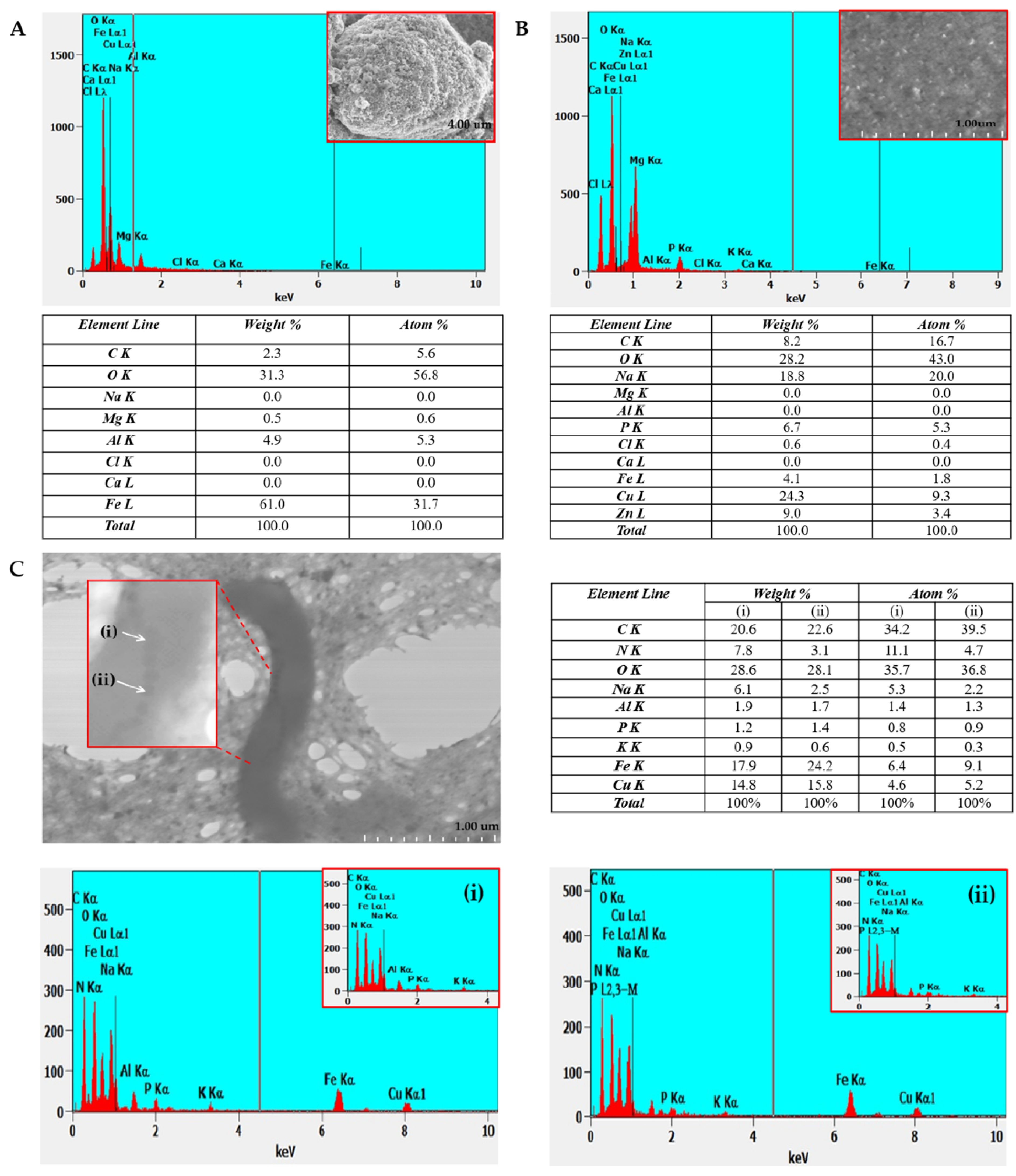 Molecules 31 00253 g005