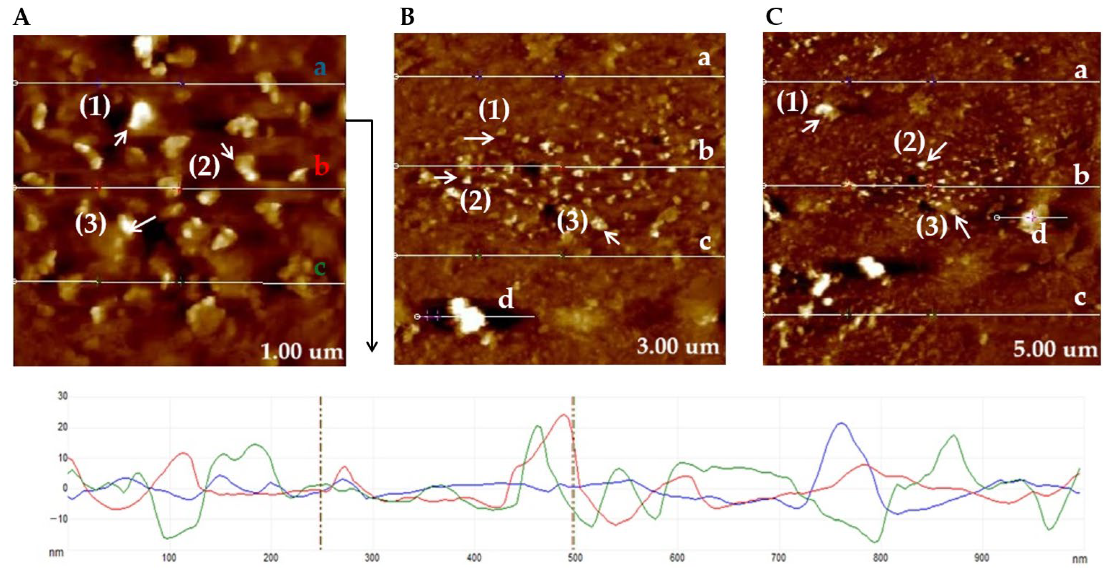 Molecules 31 00253 g006