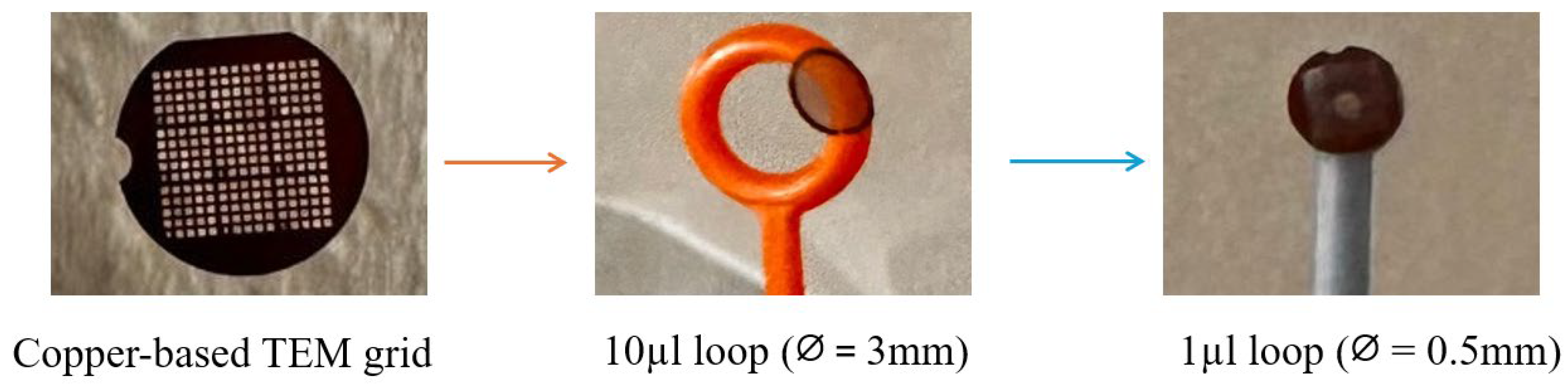 Molecules 31 00253 g009