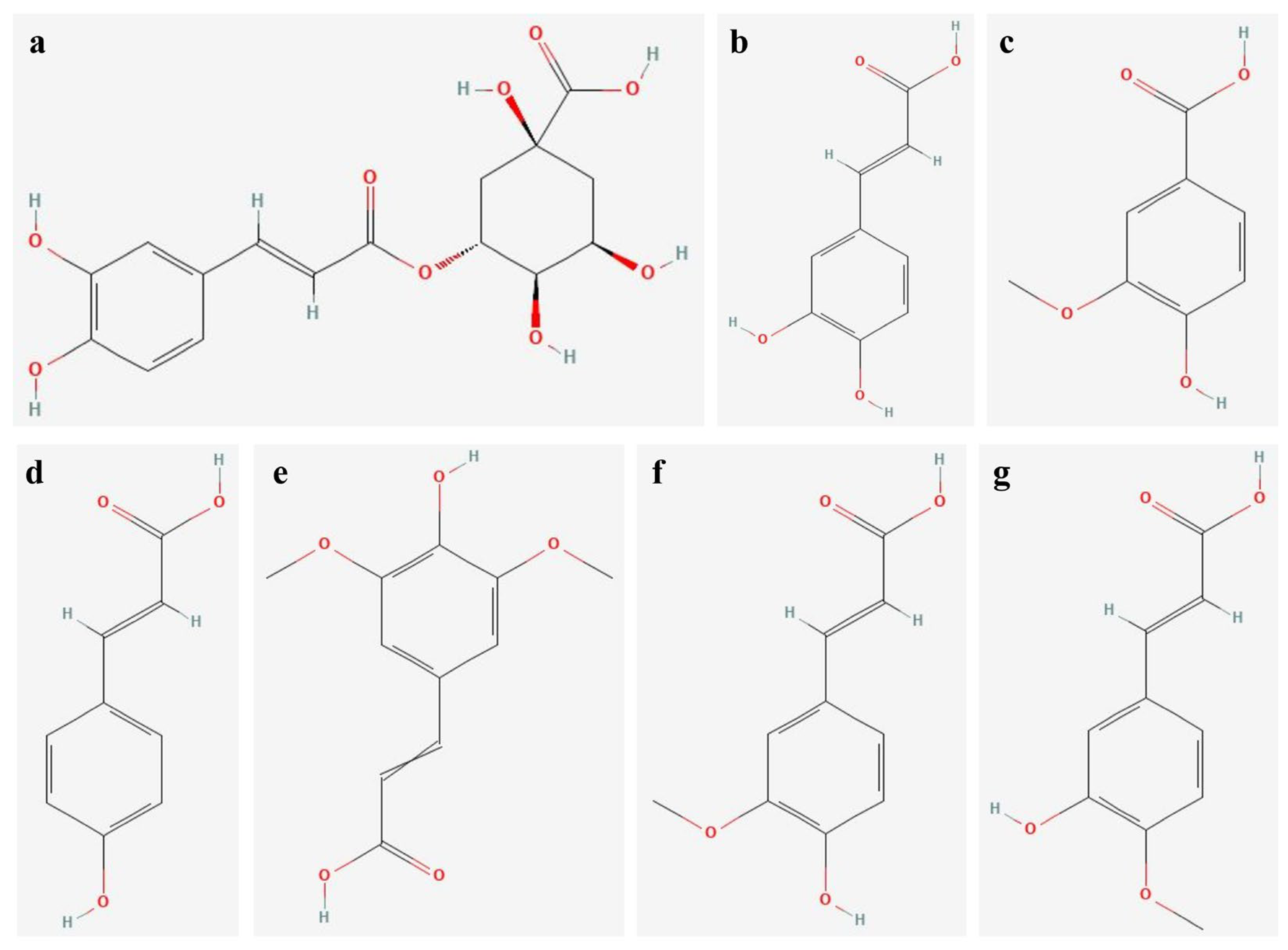 Molecules 31 00258 g004