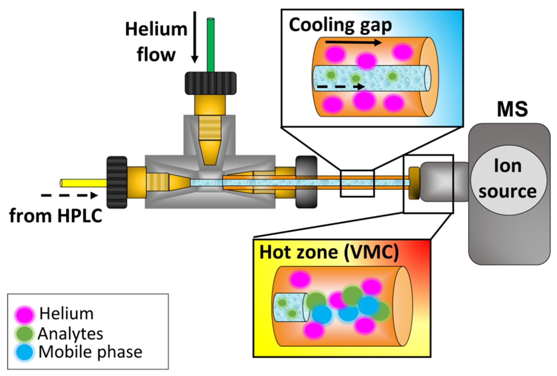 Molecules 31 00259 g008 Molecules 31 00259 g008