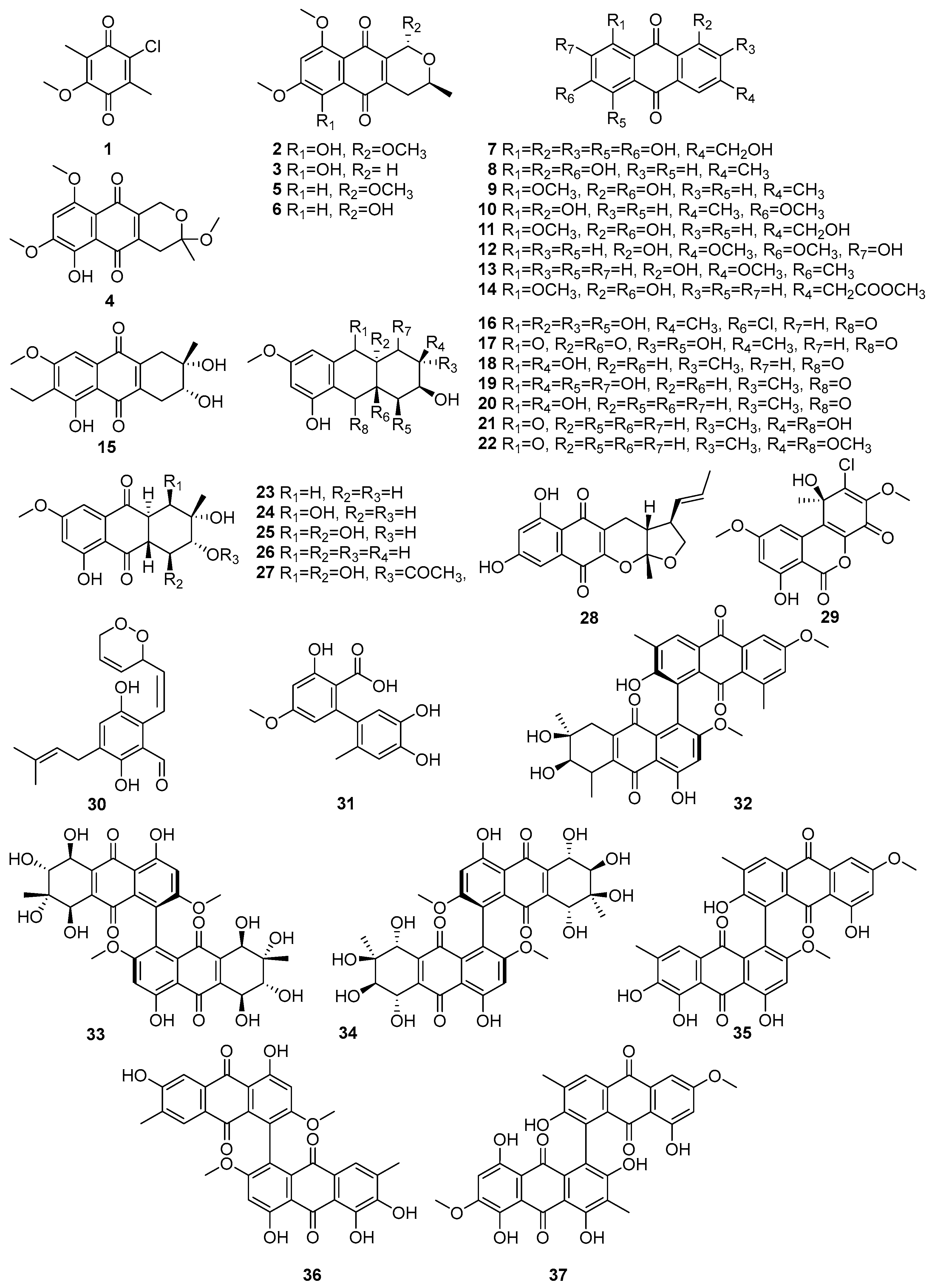 Molecules 31 00261 g002