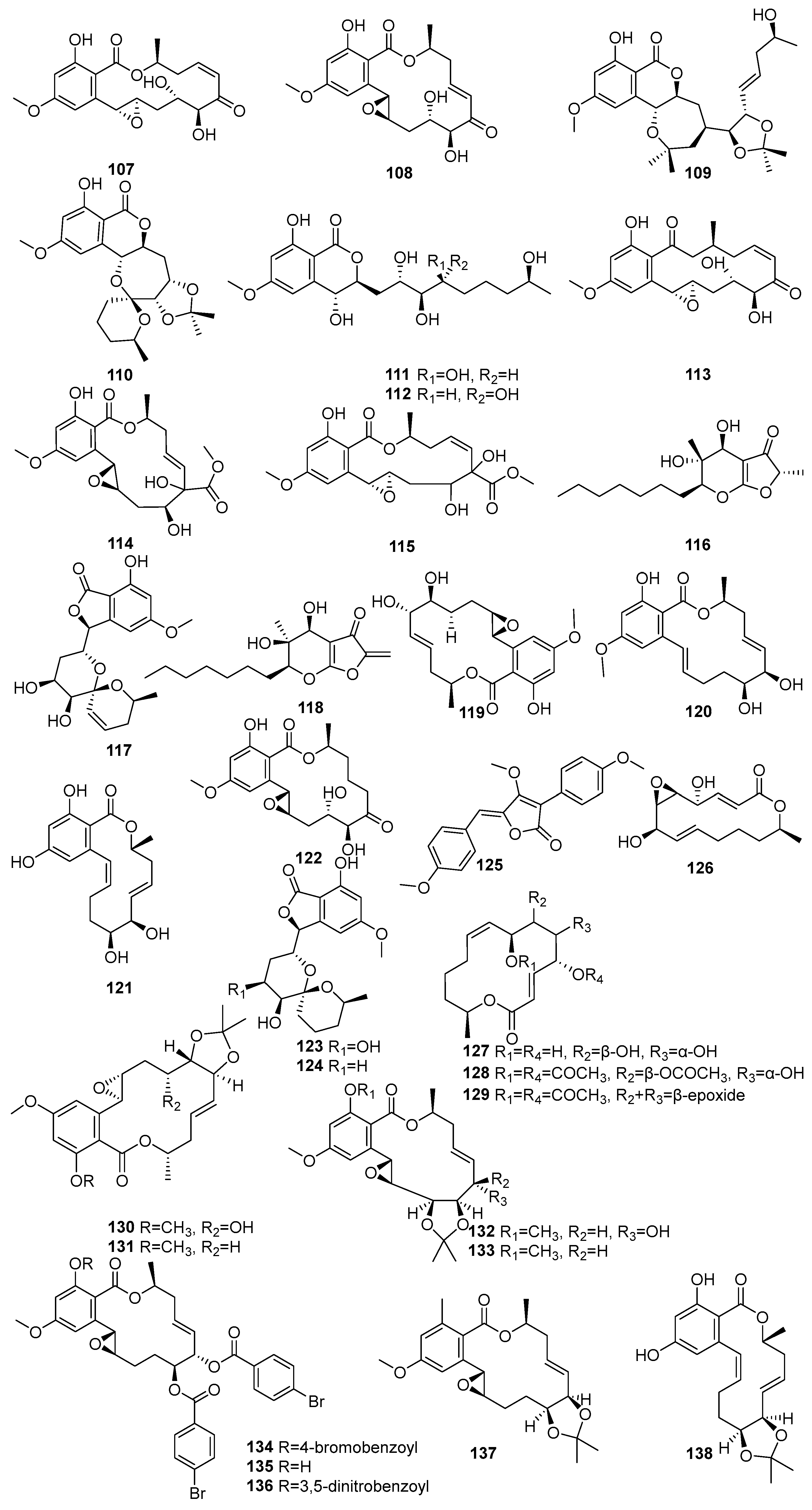 Molecules 31 00261 g006