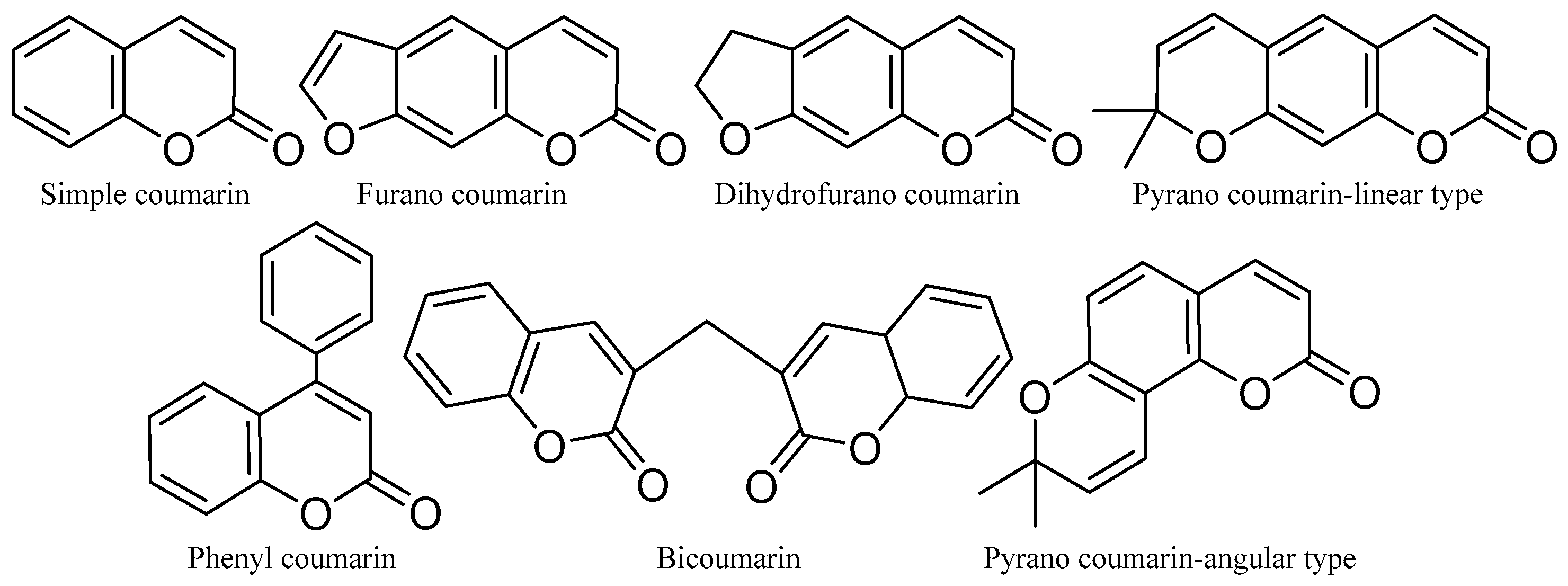 Molecules 31 00261 g009