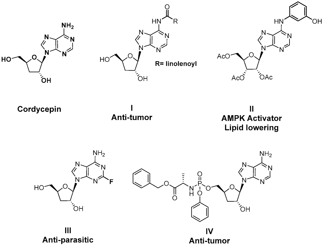 Molecules 31 00264 g001 Molecules 31 00264 g001