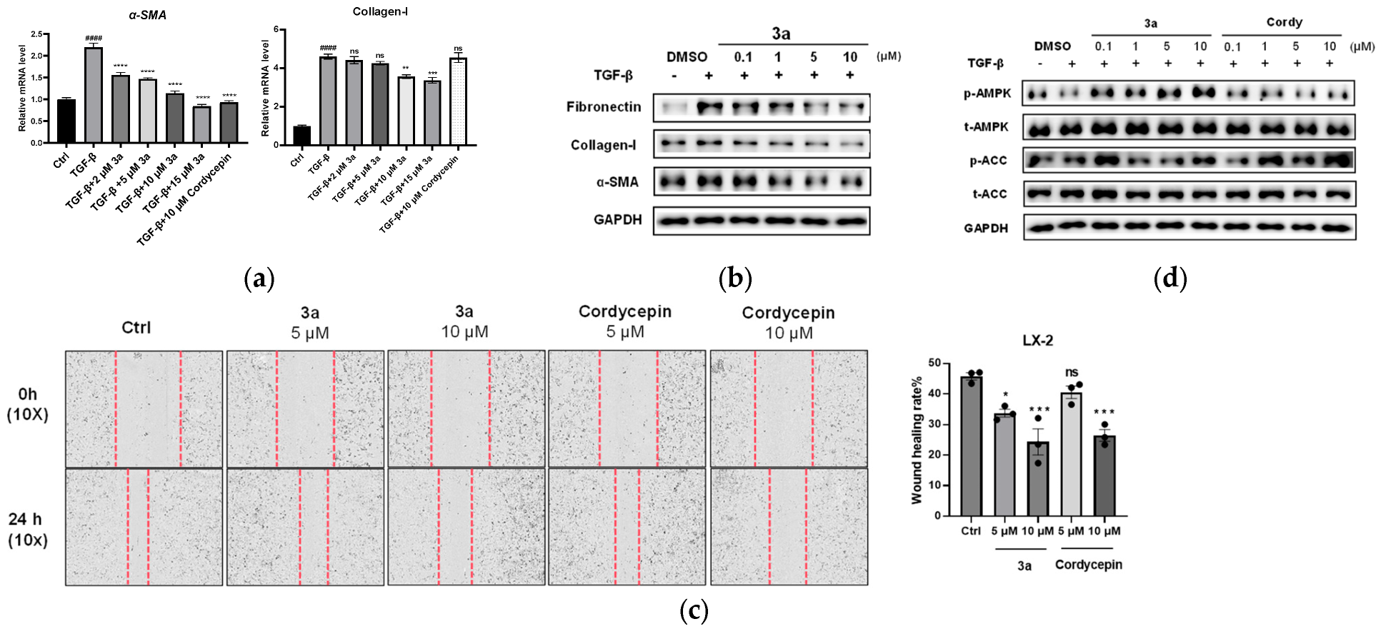 Molecules 31 00264 g003 Molecules 31 00264 g003
