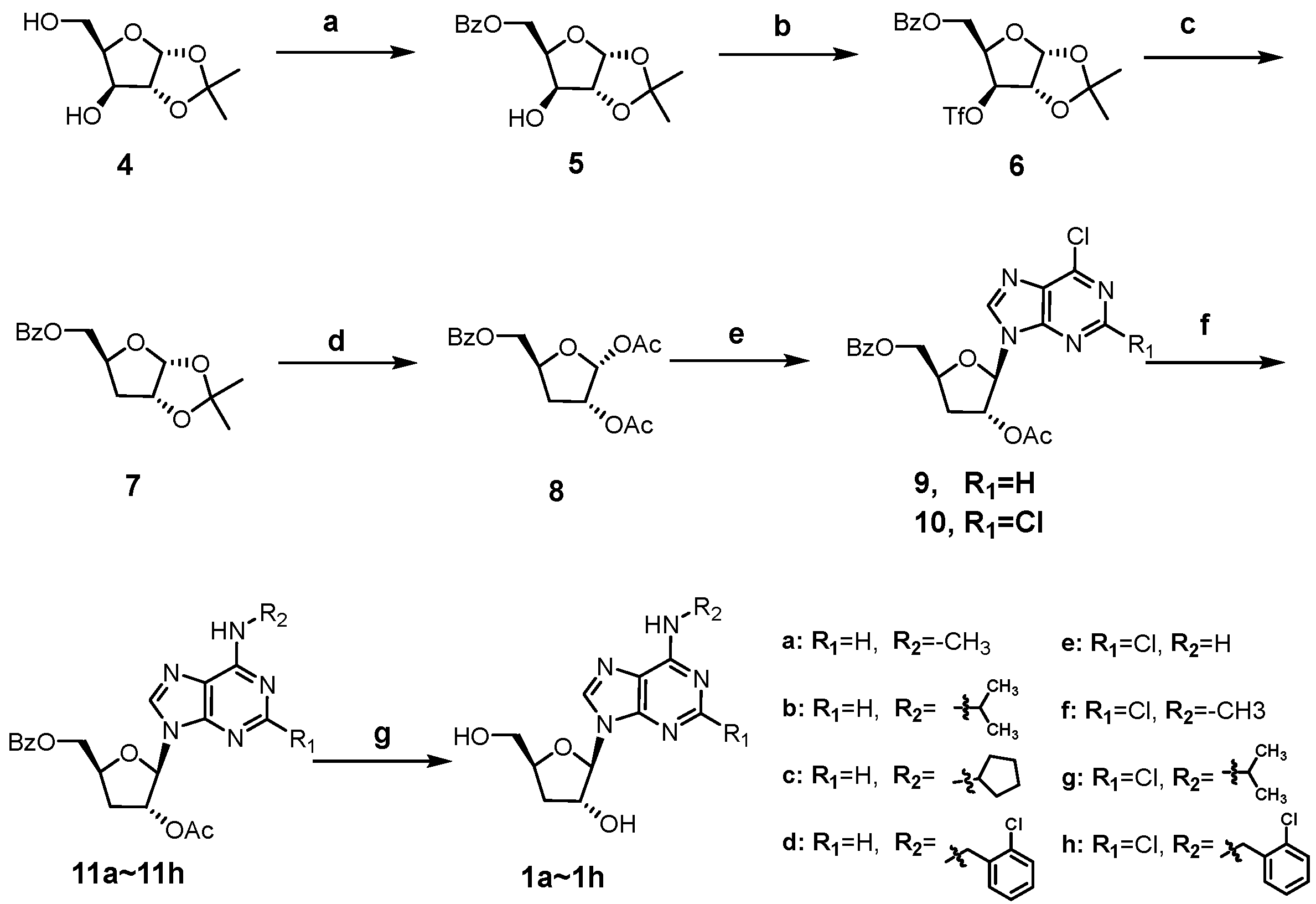 Molecules 31 00264 sch001 Molecules 31 00264 sch001
