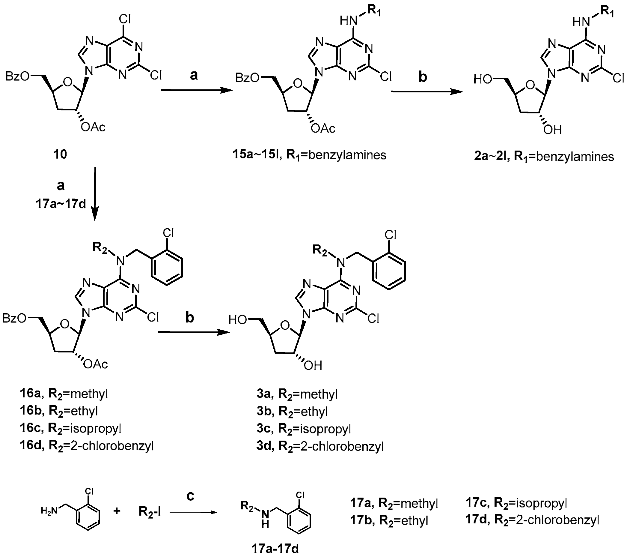Molecules 31 00264 sch003 Molecules 31 00264 sch003