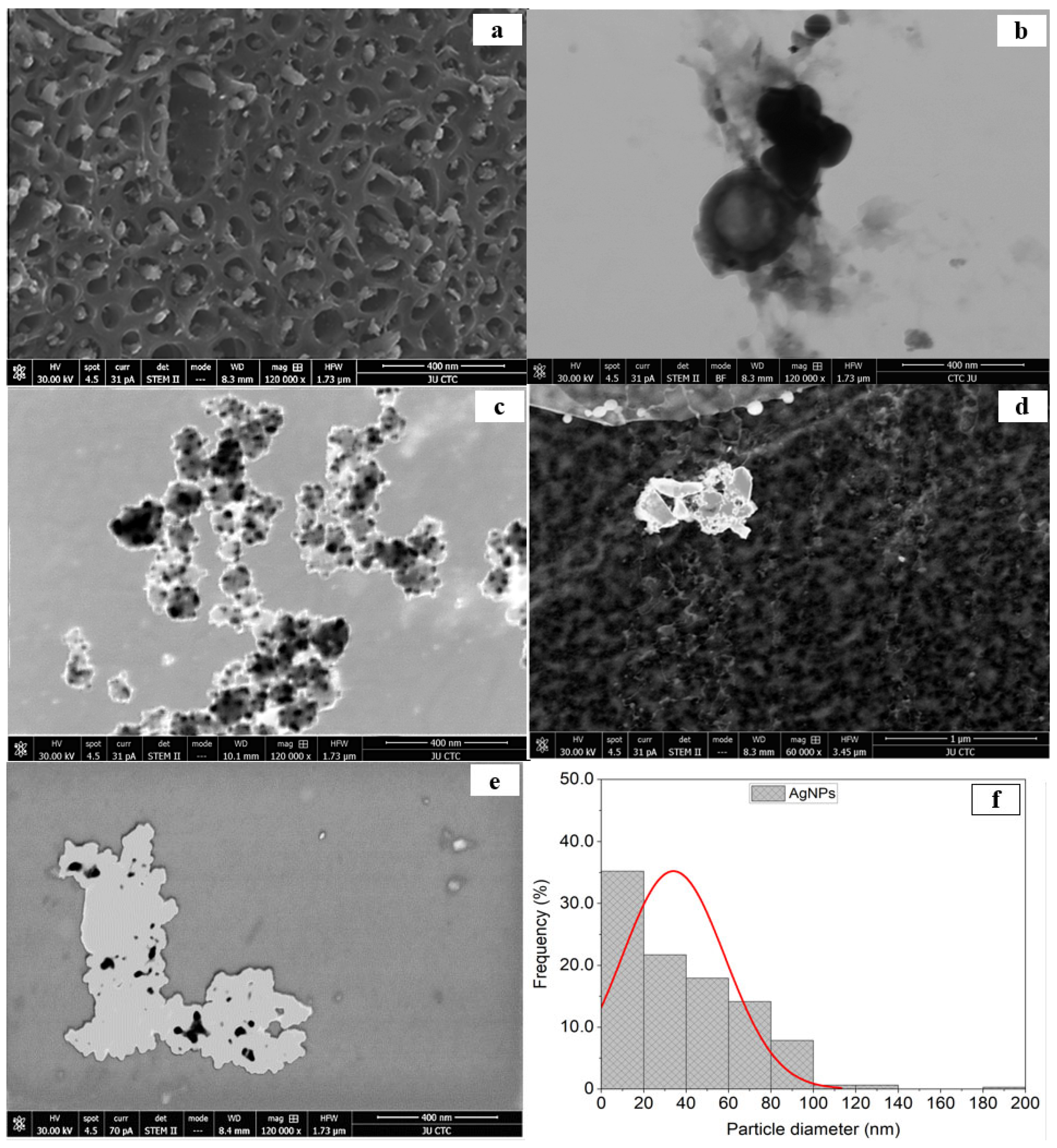 Molecules 31 00266 g002