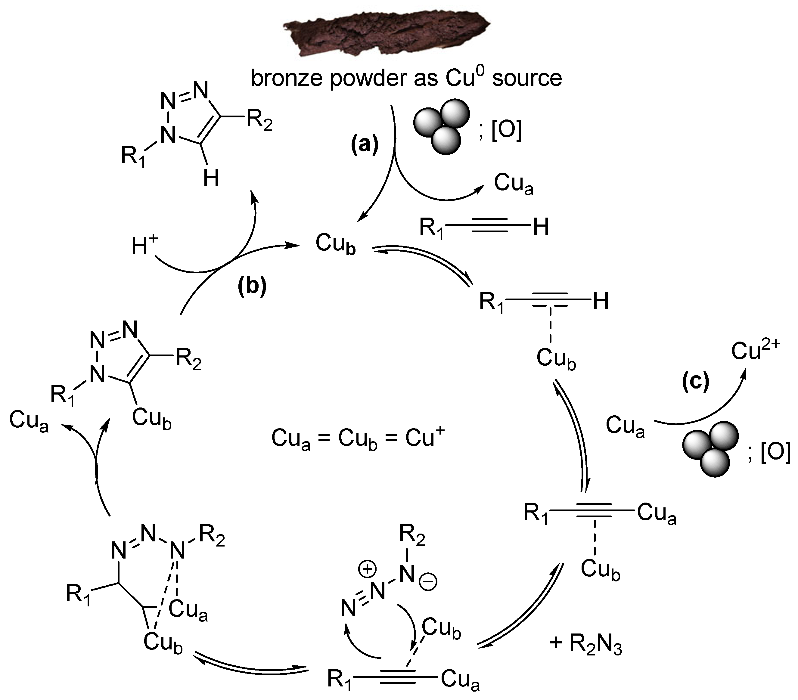 Molecules 31 00270 sch002