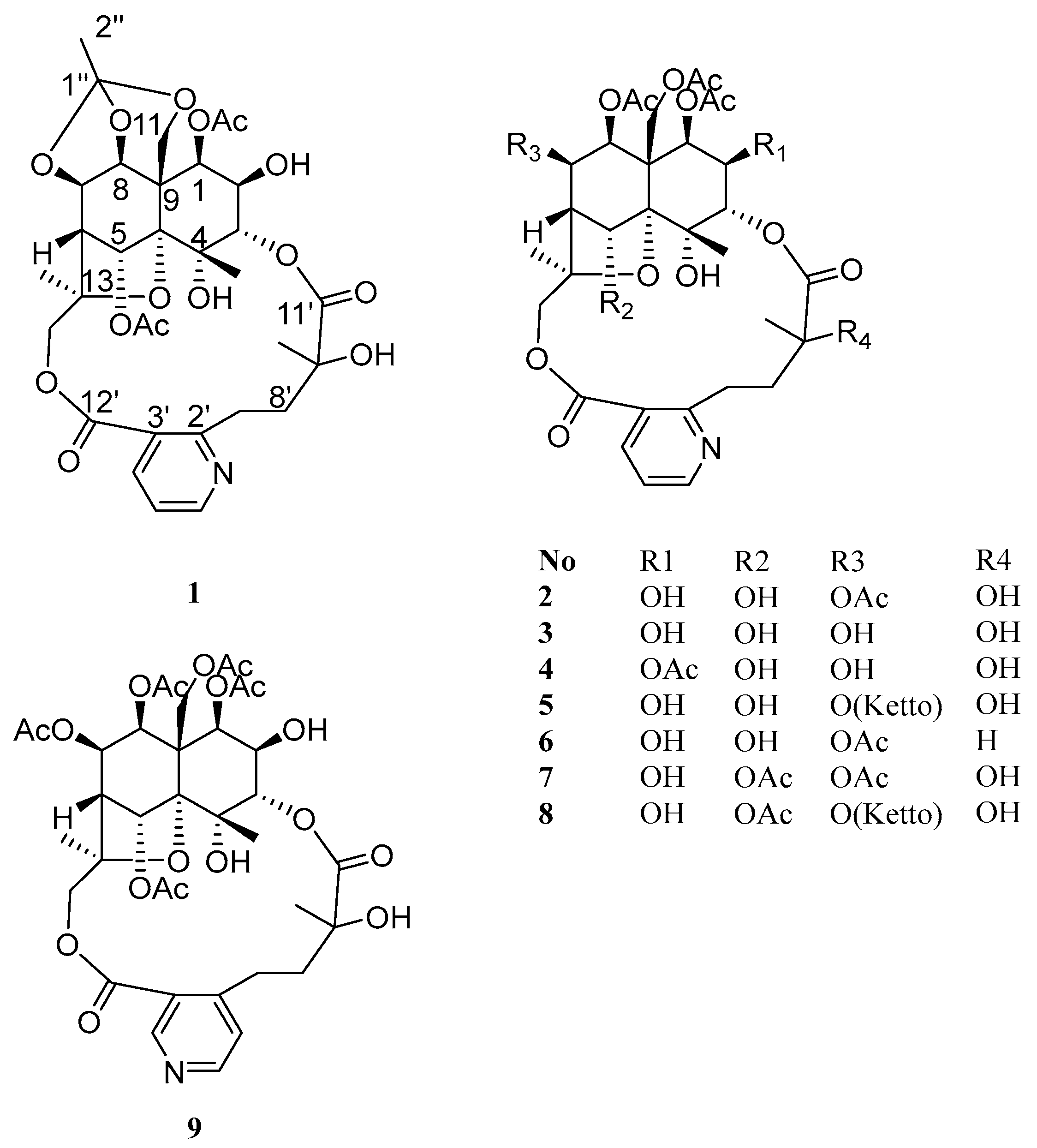 Molecules 31 00271 g001