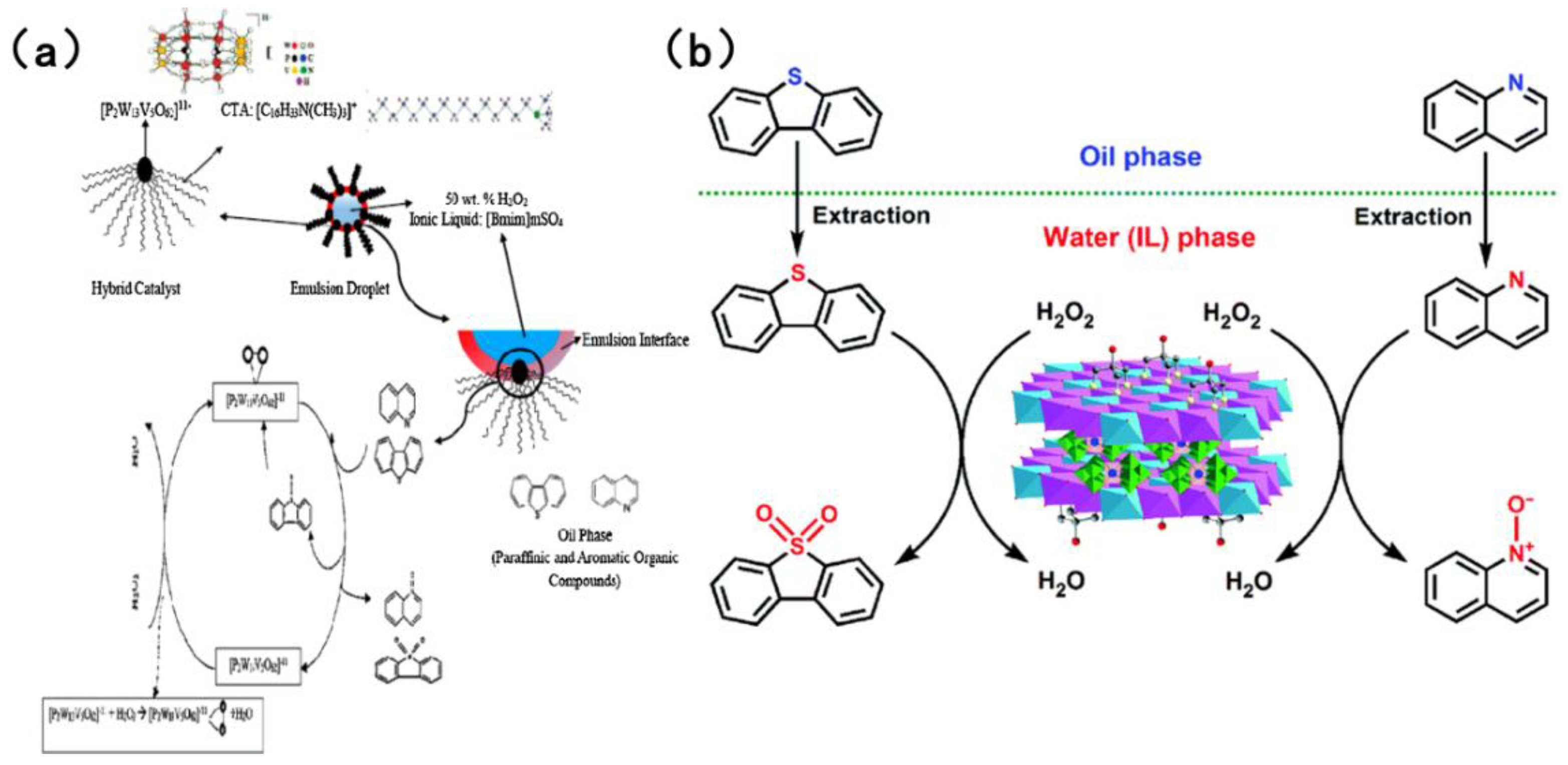 Molecules 31 00279 g011