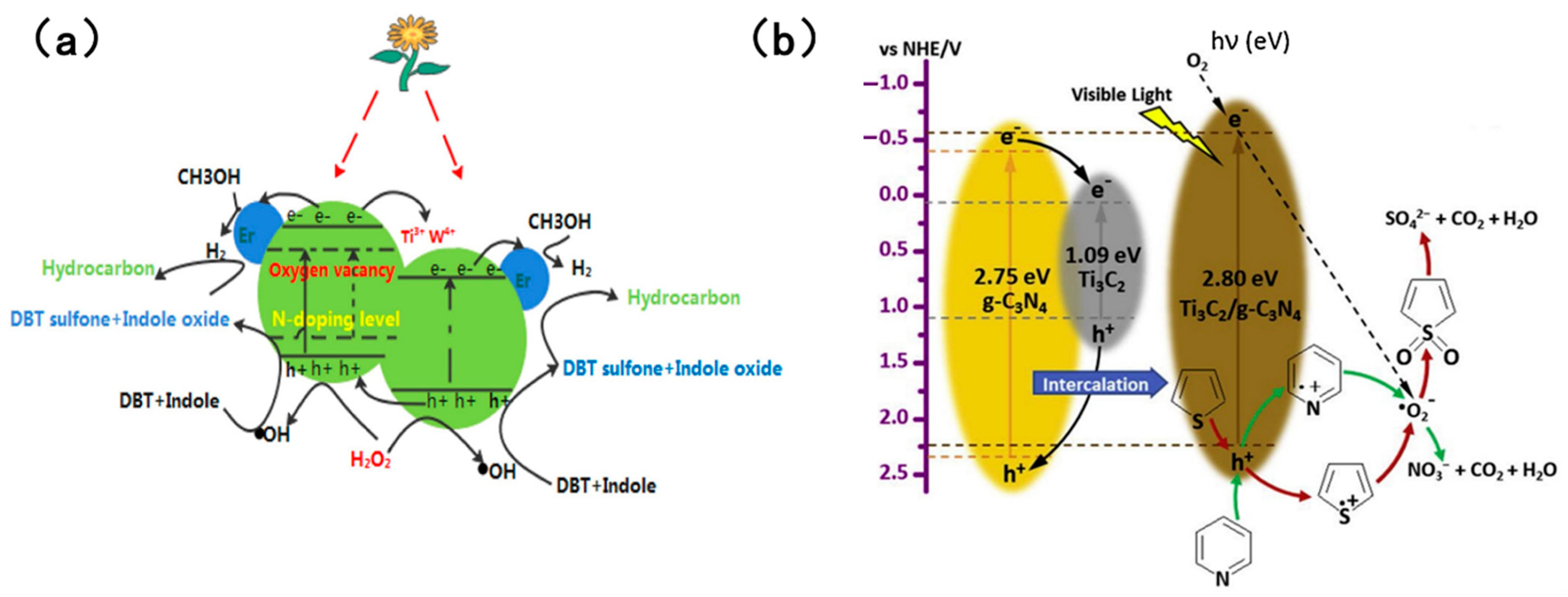Molecules 31 00279 g014