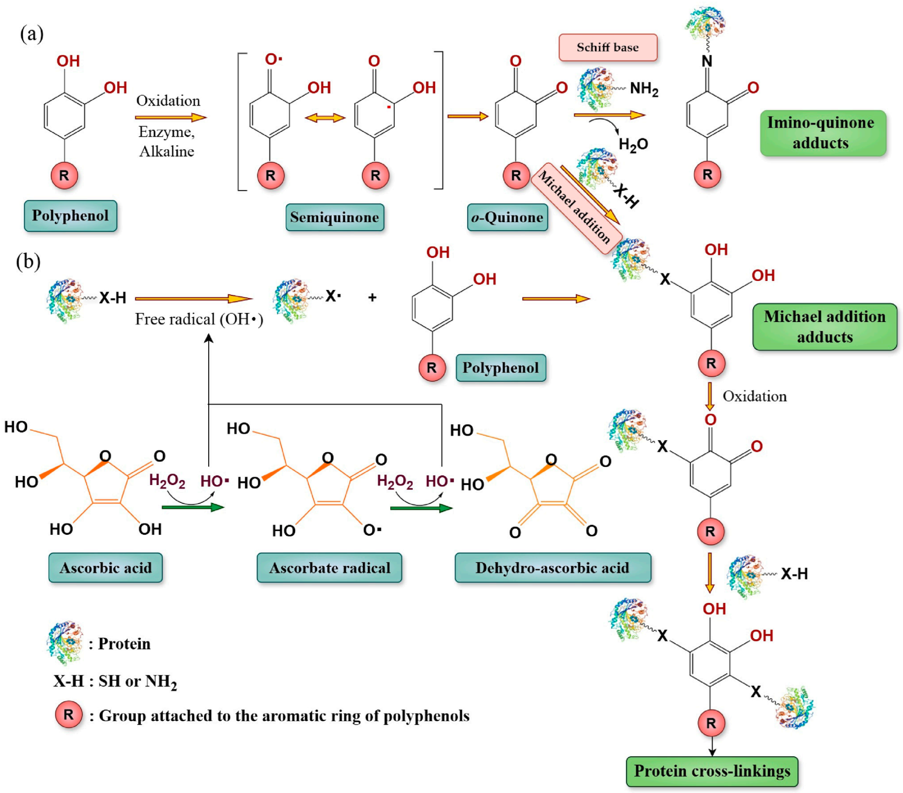 Molecules 31 00287 g001