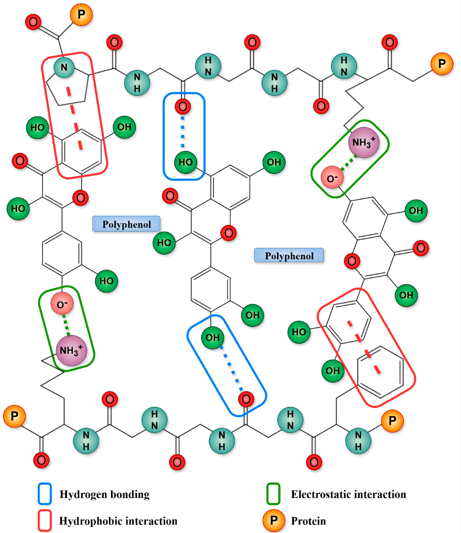 Molecules 31 00287 g002