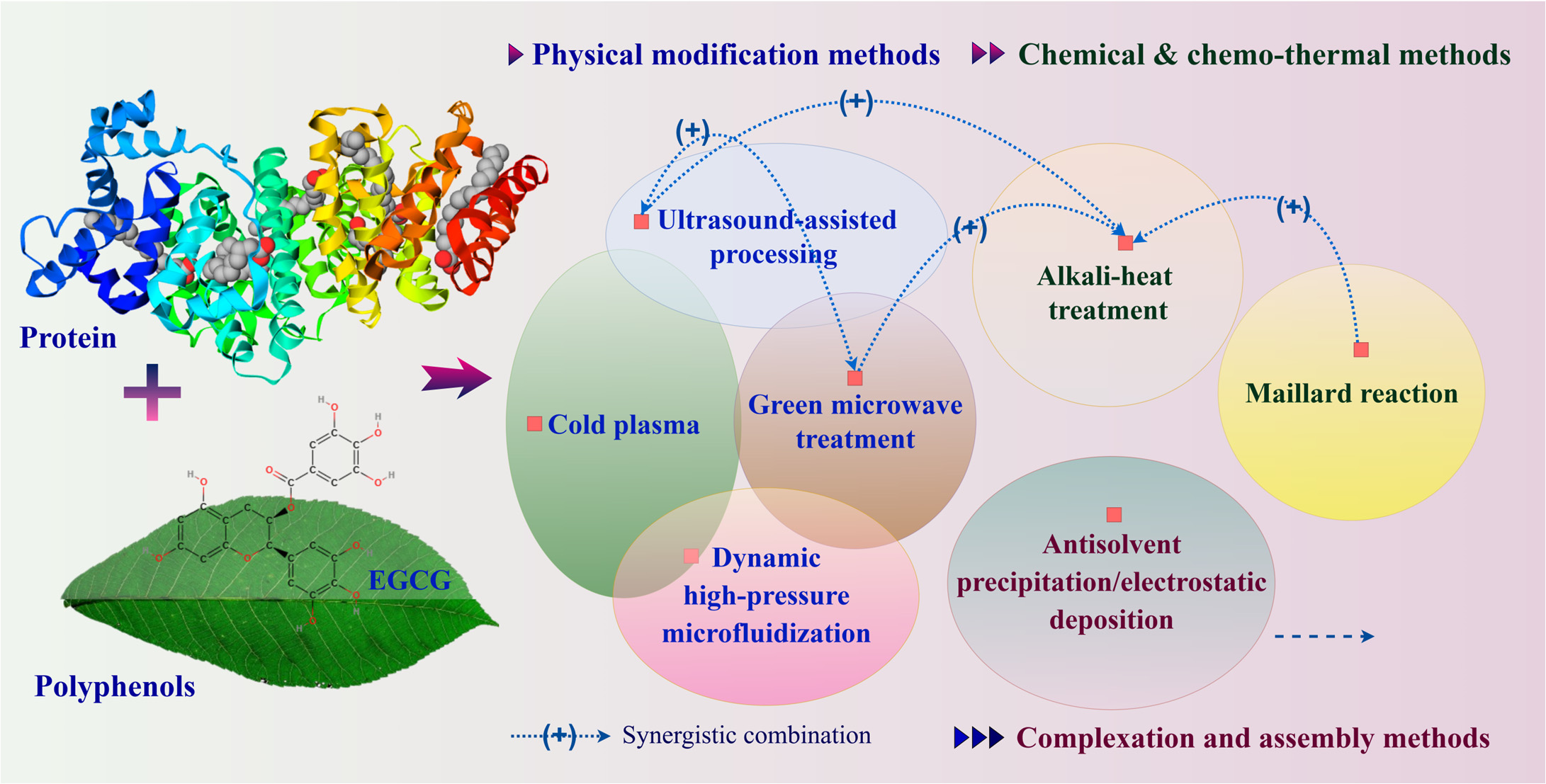 Molecules 31 00287 g003