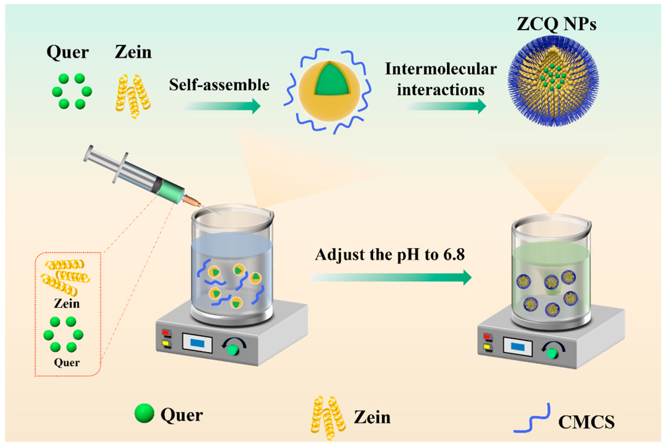 Molecules 31 00288 g001