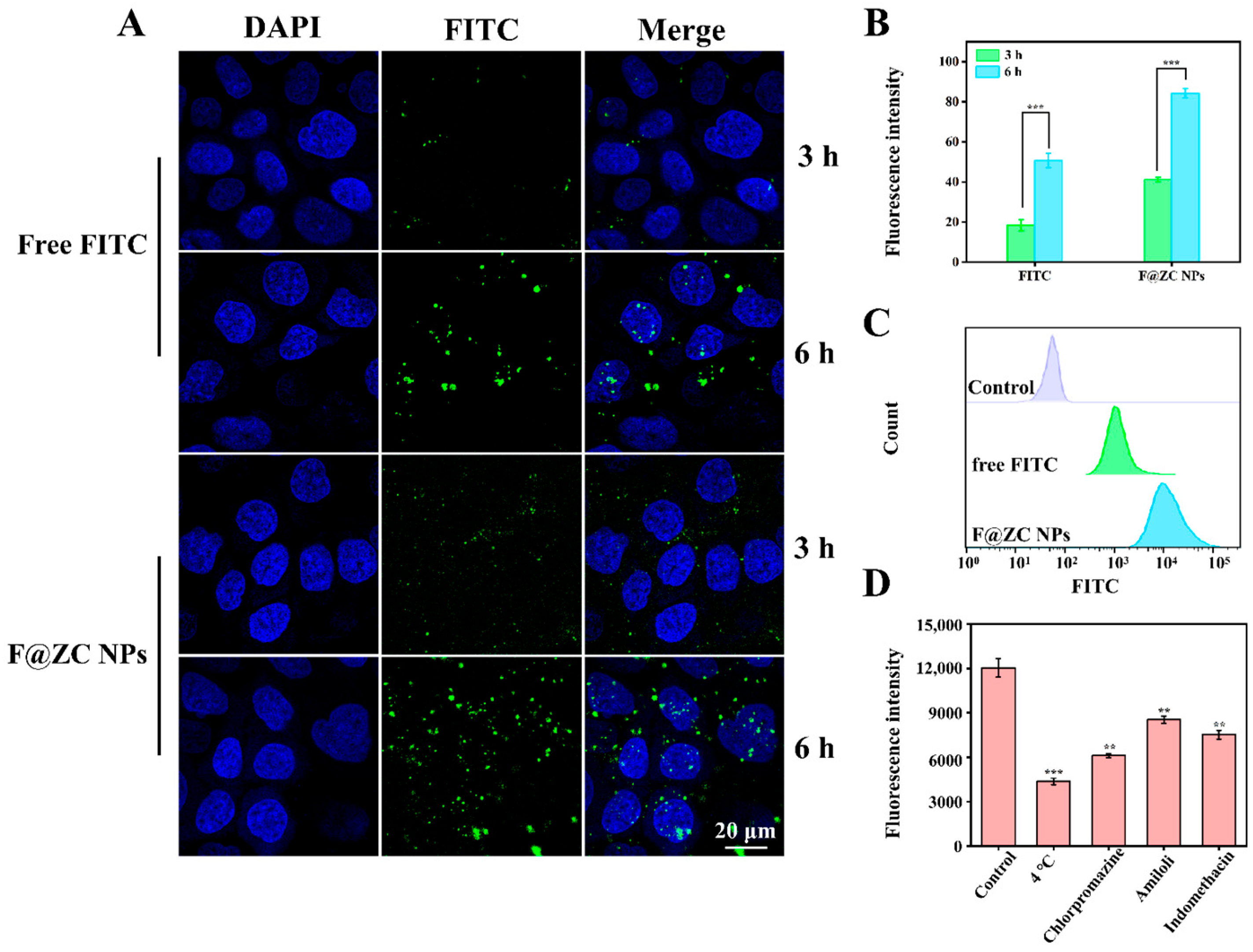 Molecules 31 00288 g006