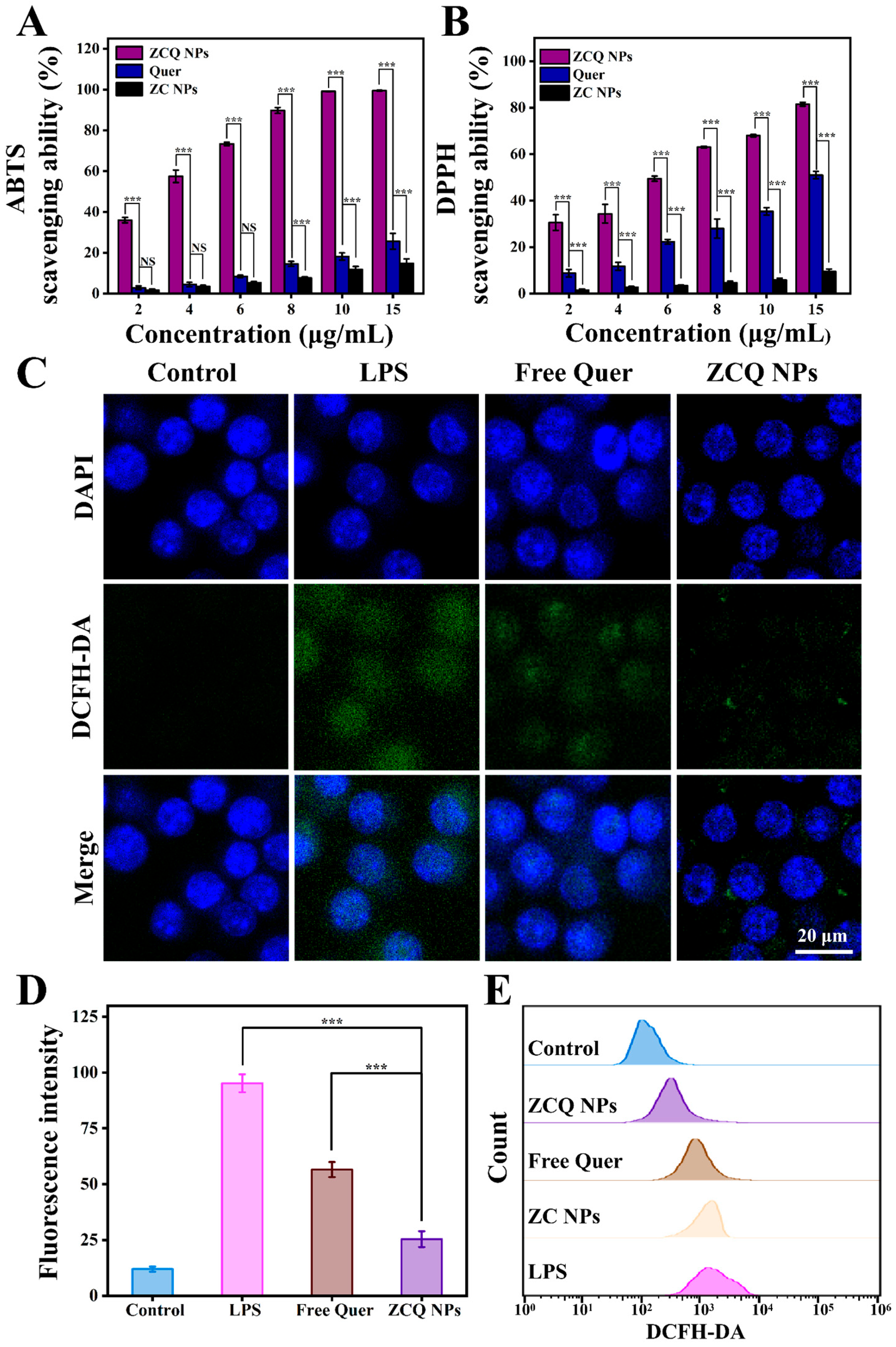 Molecules 31 00288 g007