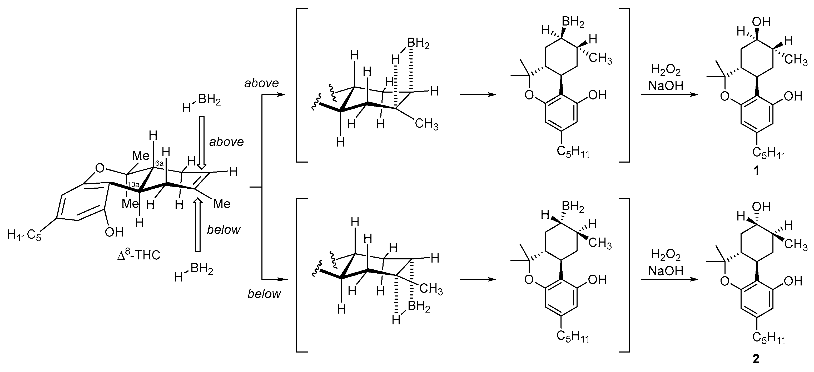 Molecules 31 00289 sch001